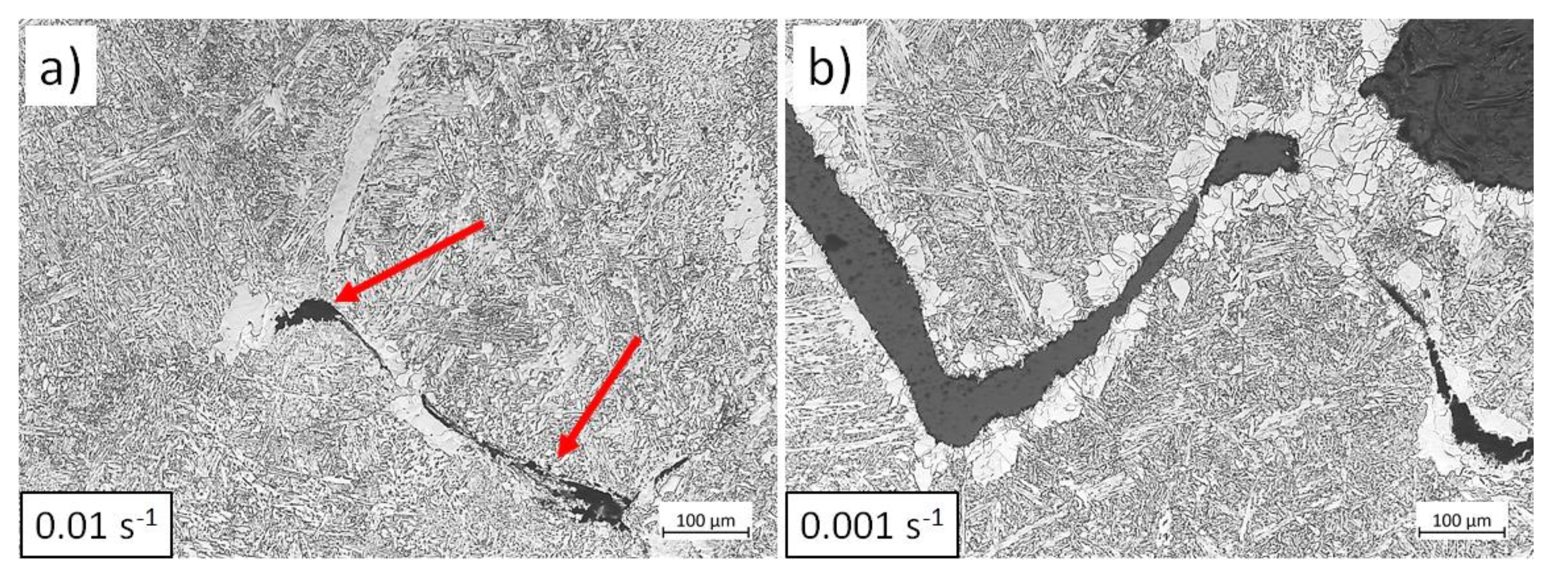 Preprints 116169 g022