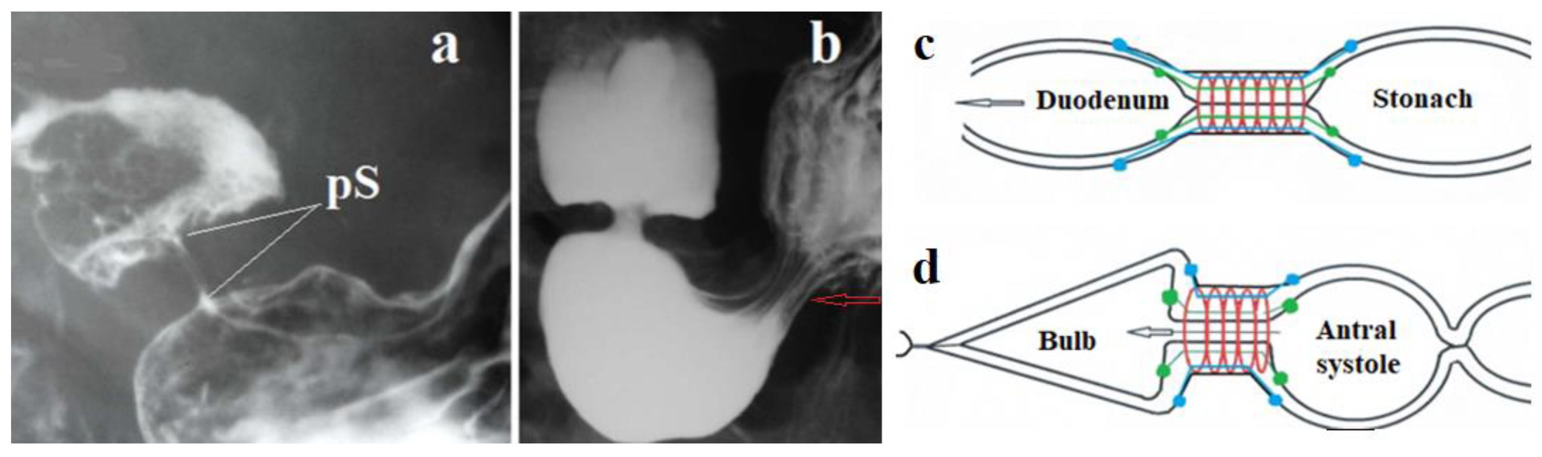 Preprints 94436 g003