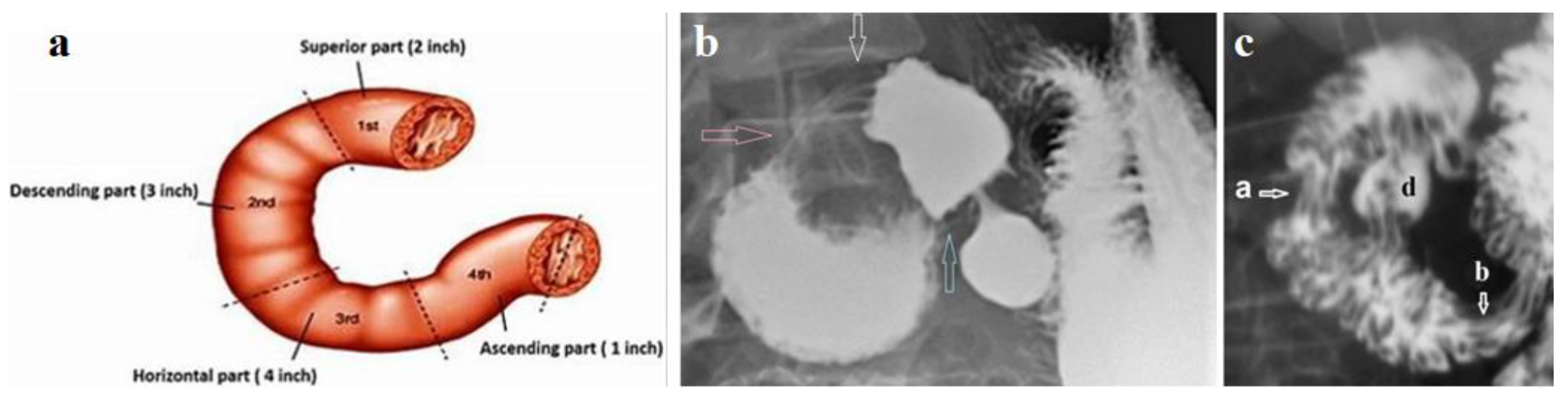 Preprints 94436 g004