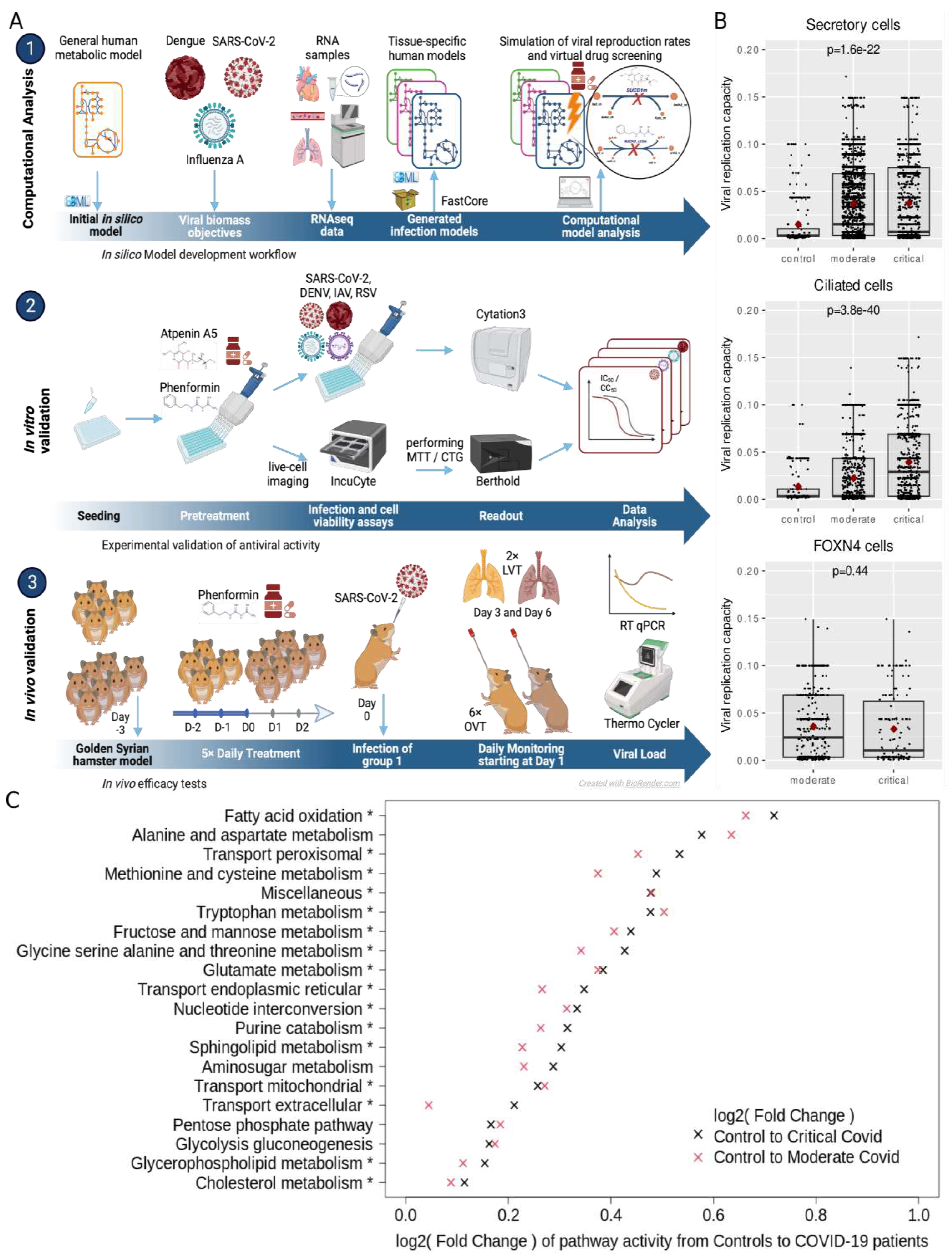 Preprints 91858 g001