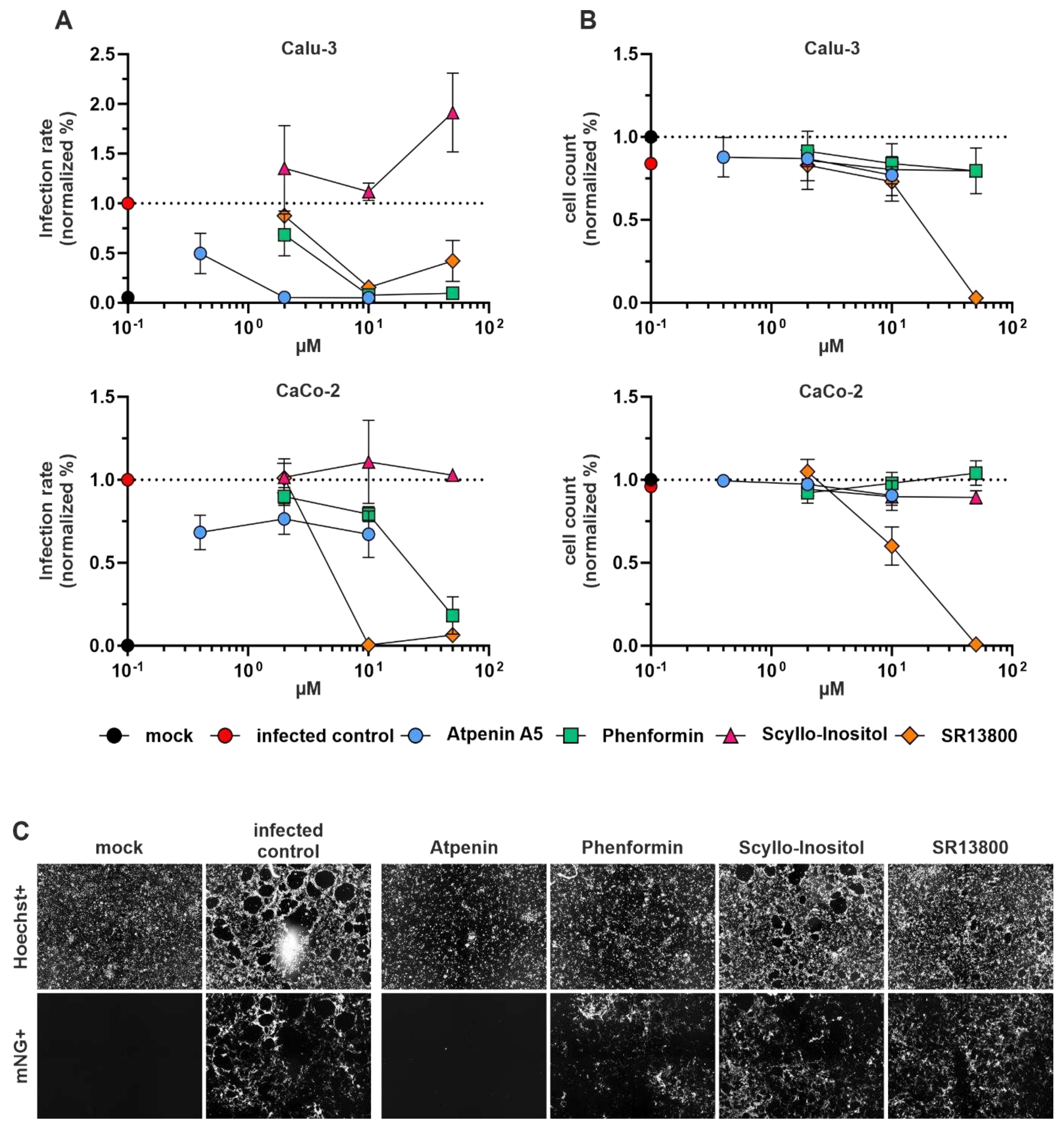 Preprints 91858 g004