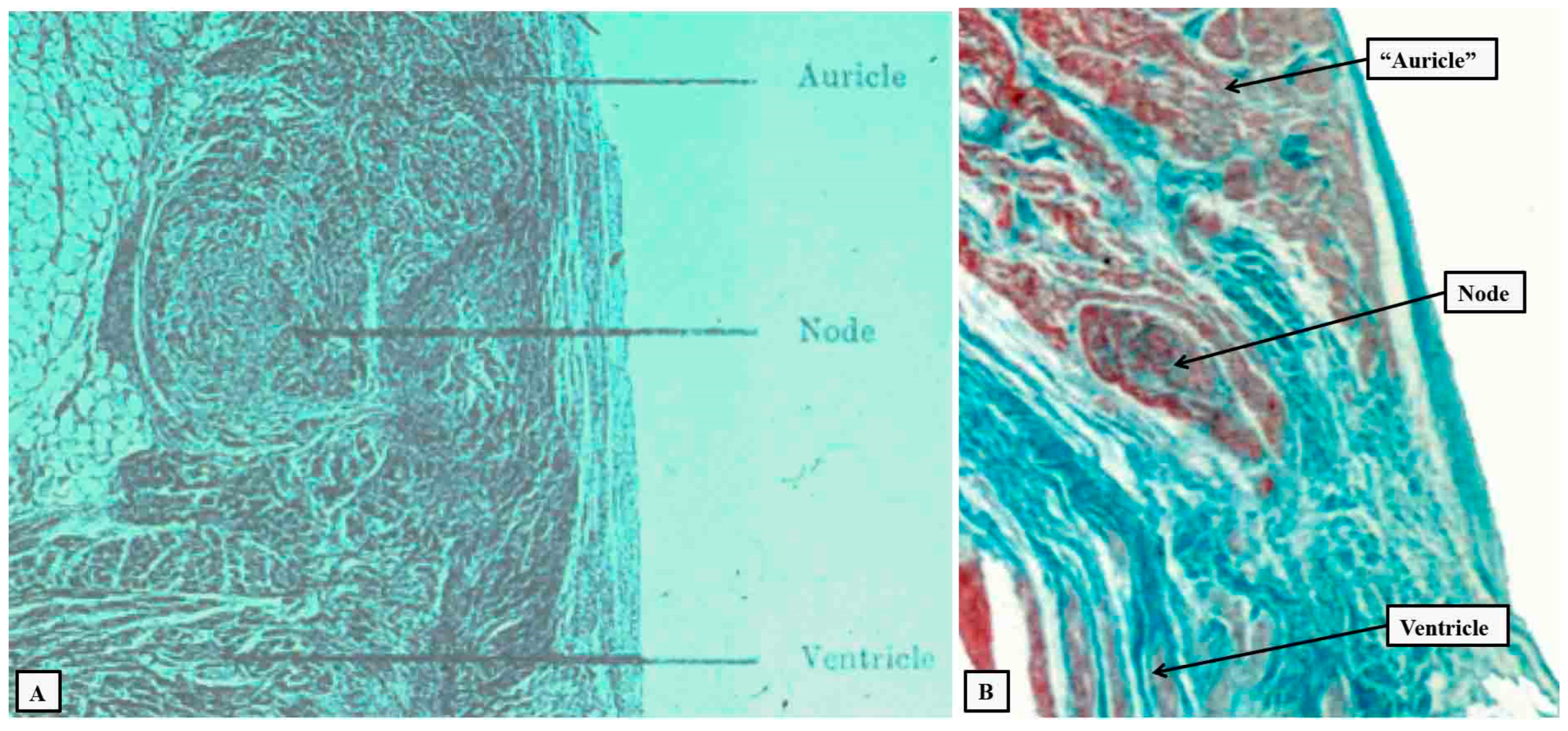 Preprints 89272 g003