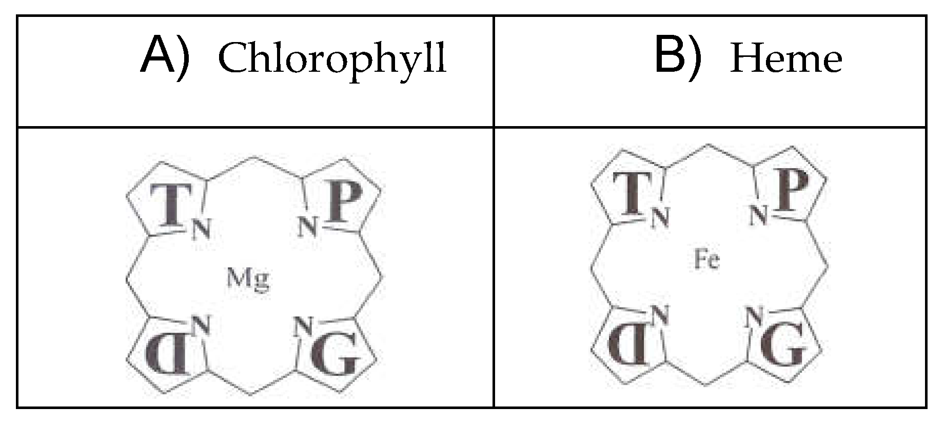 Preprints 70386 g001