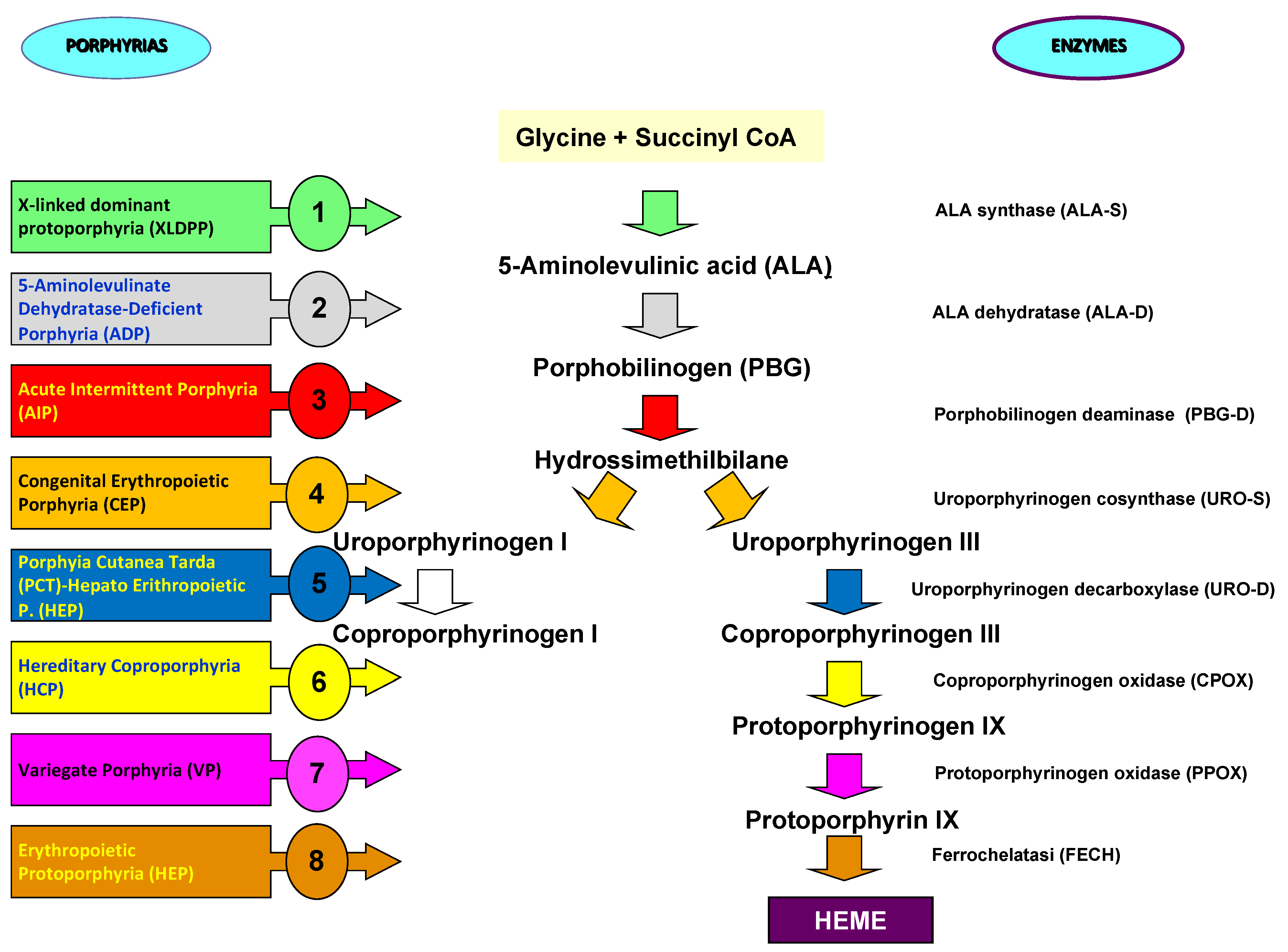 Preprints 70386 g002