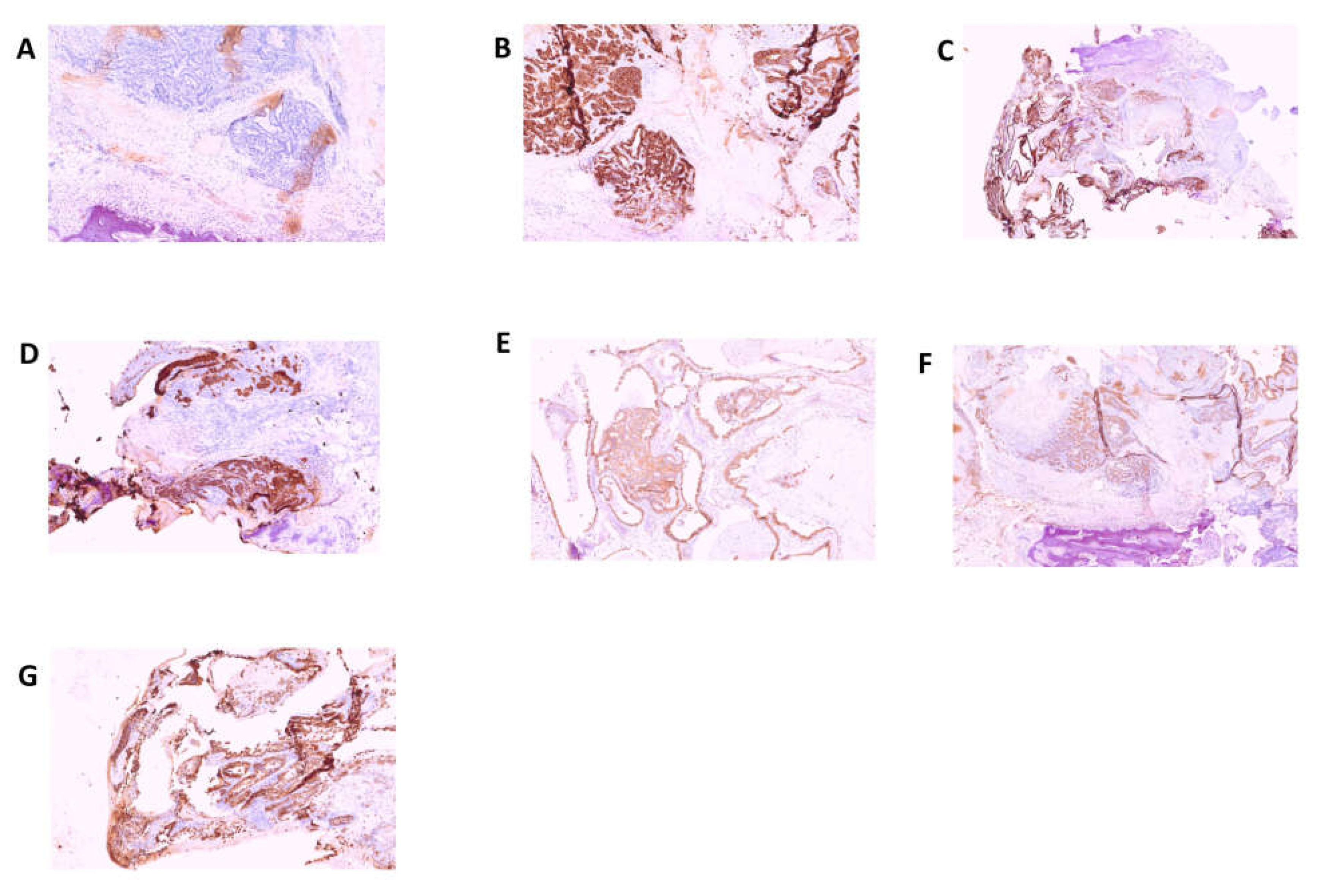 Preprints 70386 g003