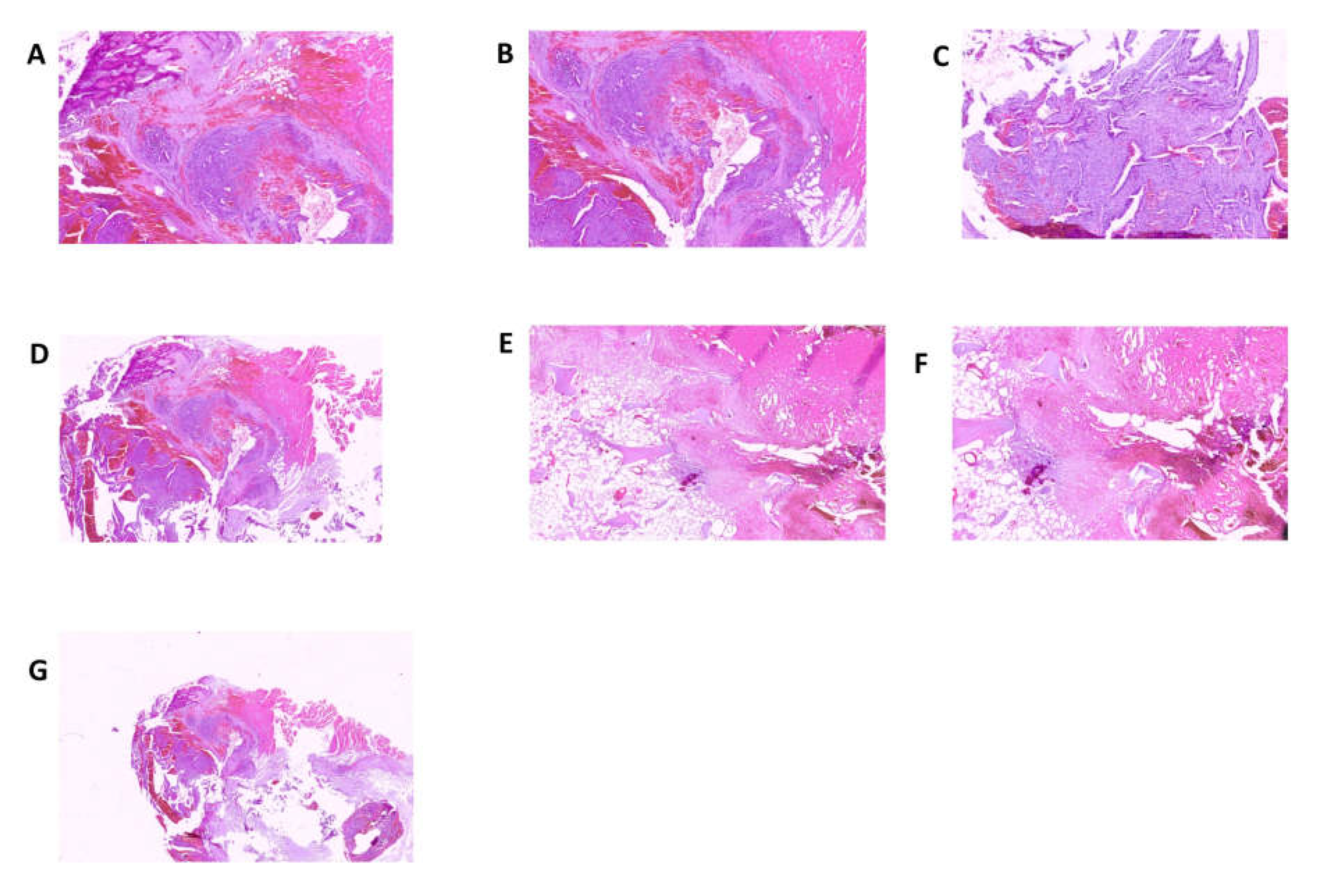 Preprints 70386 g004