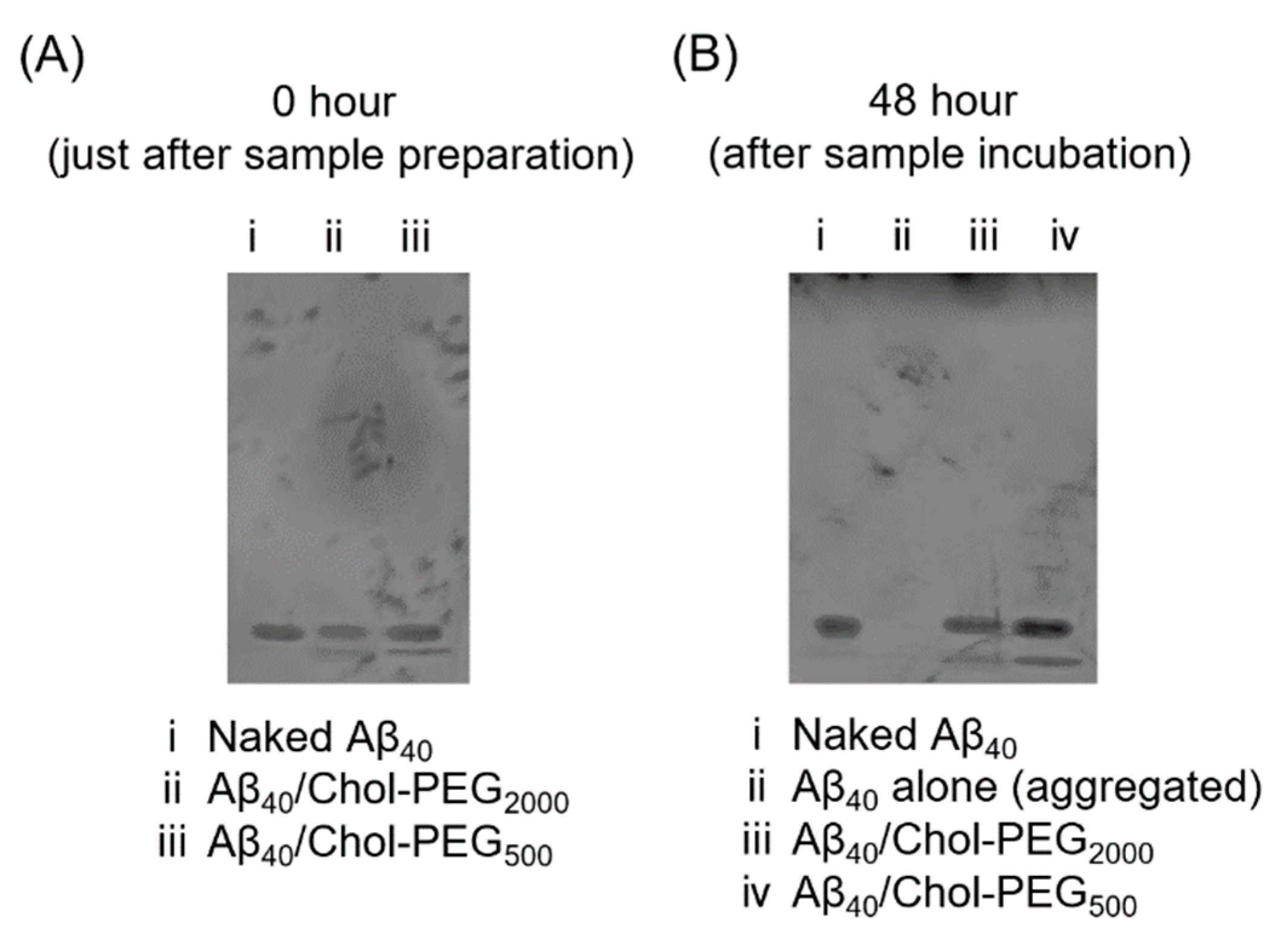 Preprints 120982 g004