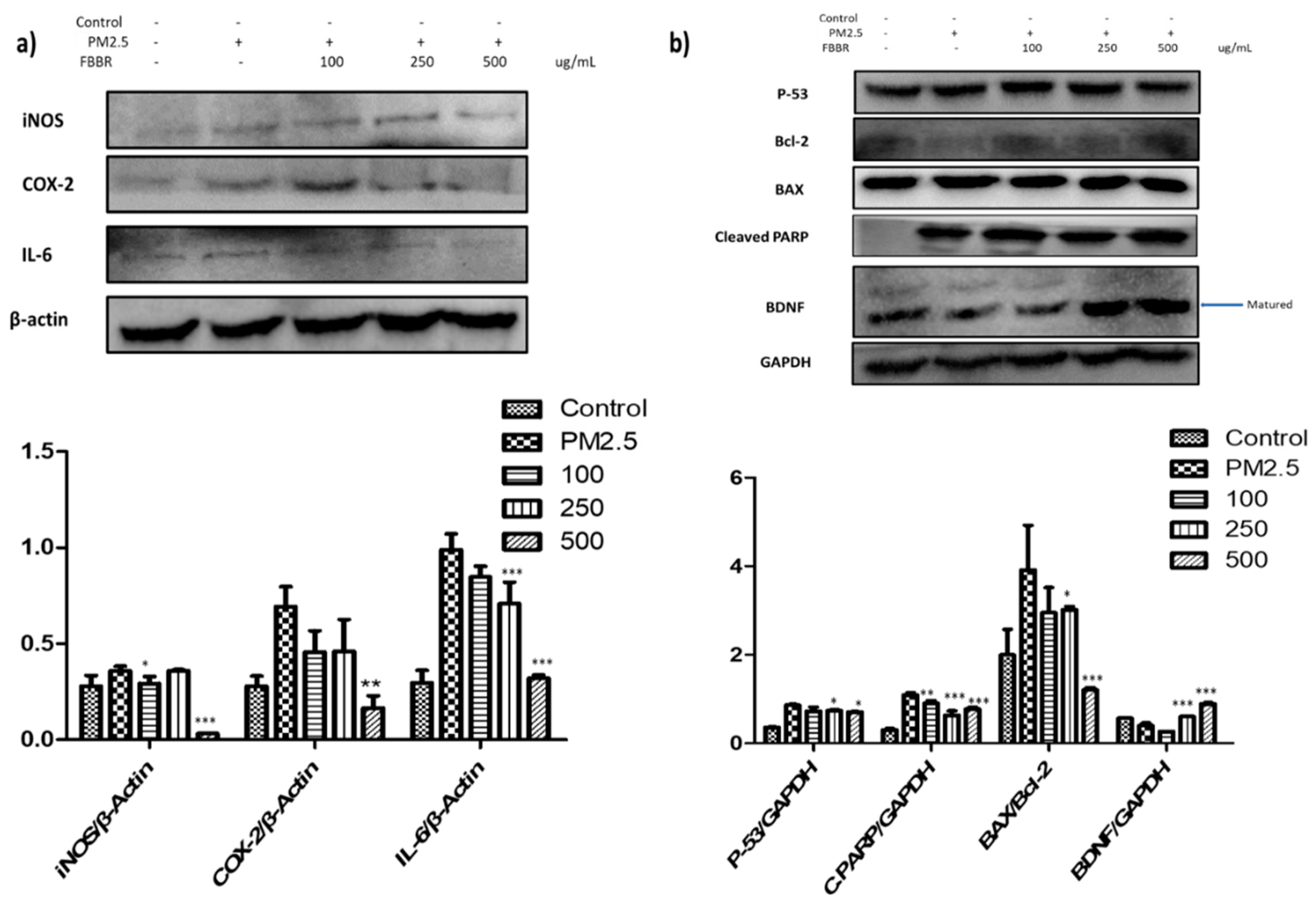 Preprints 84914 g002