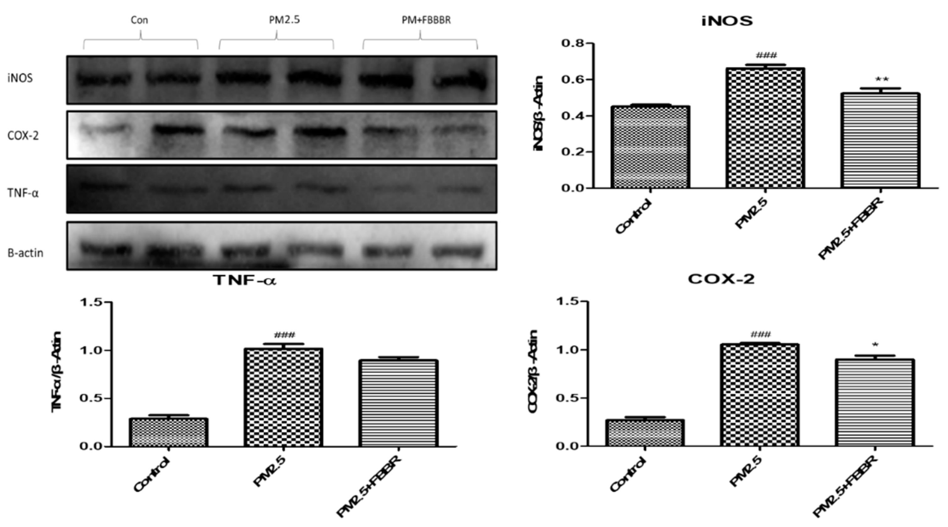 Preprints 84914 g004