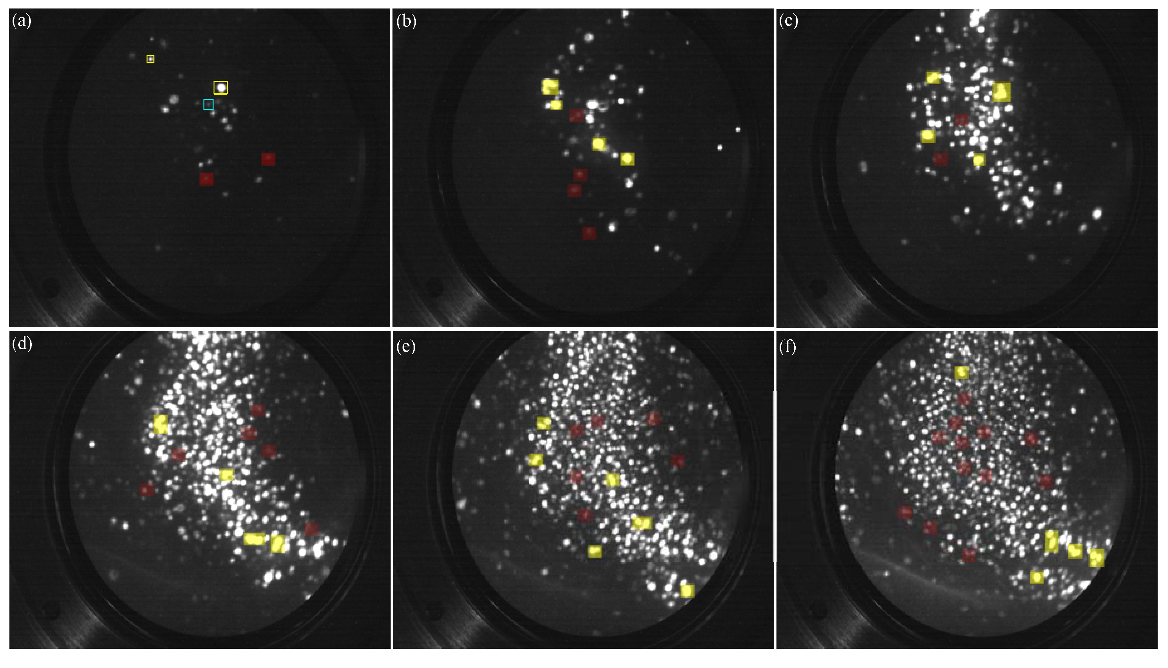 Preprints 113661 g003