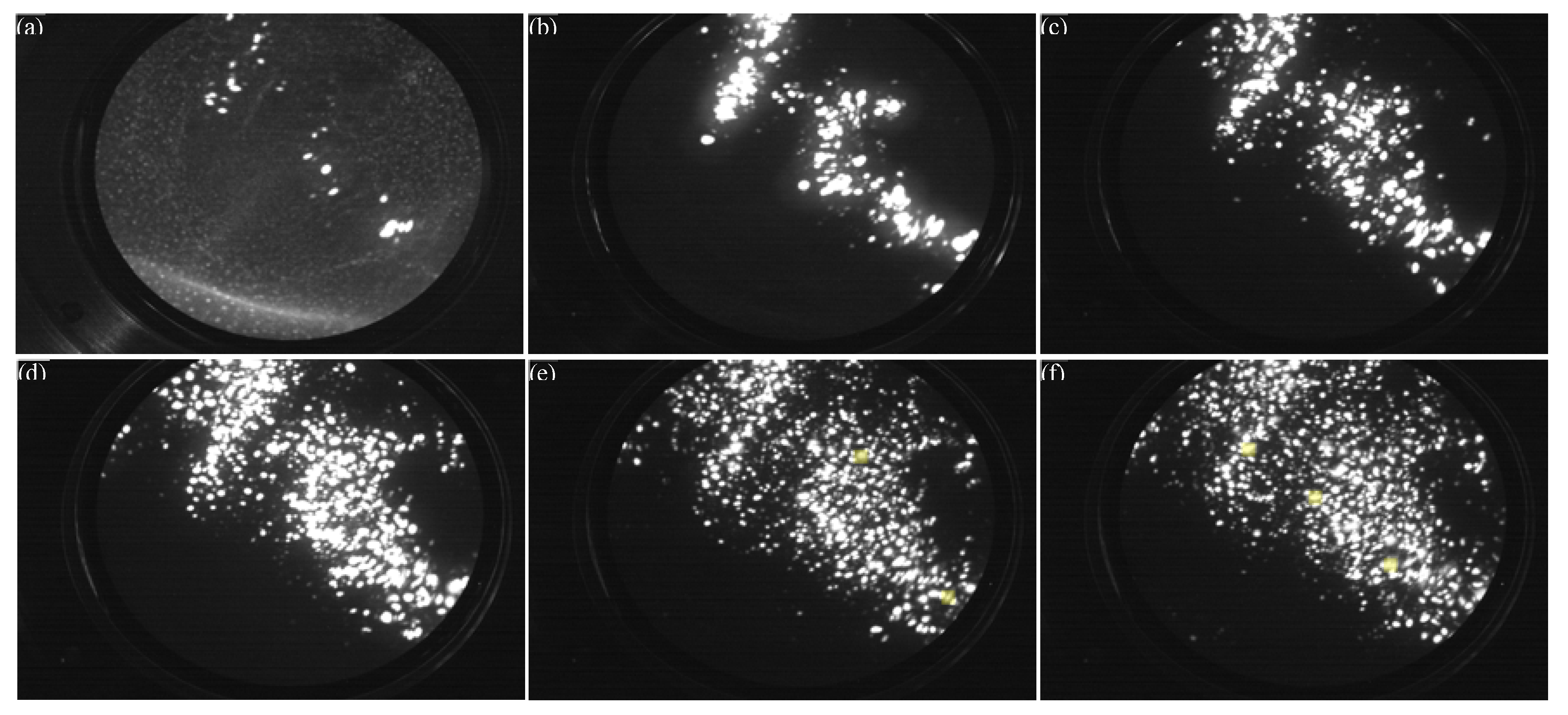 Preprints 113661 g006