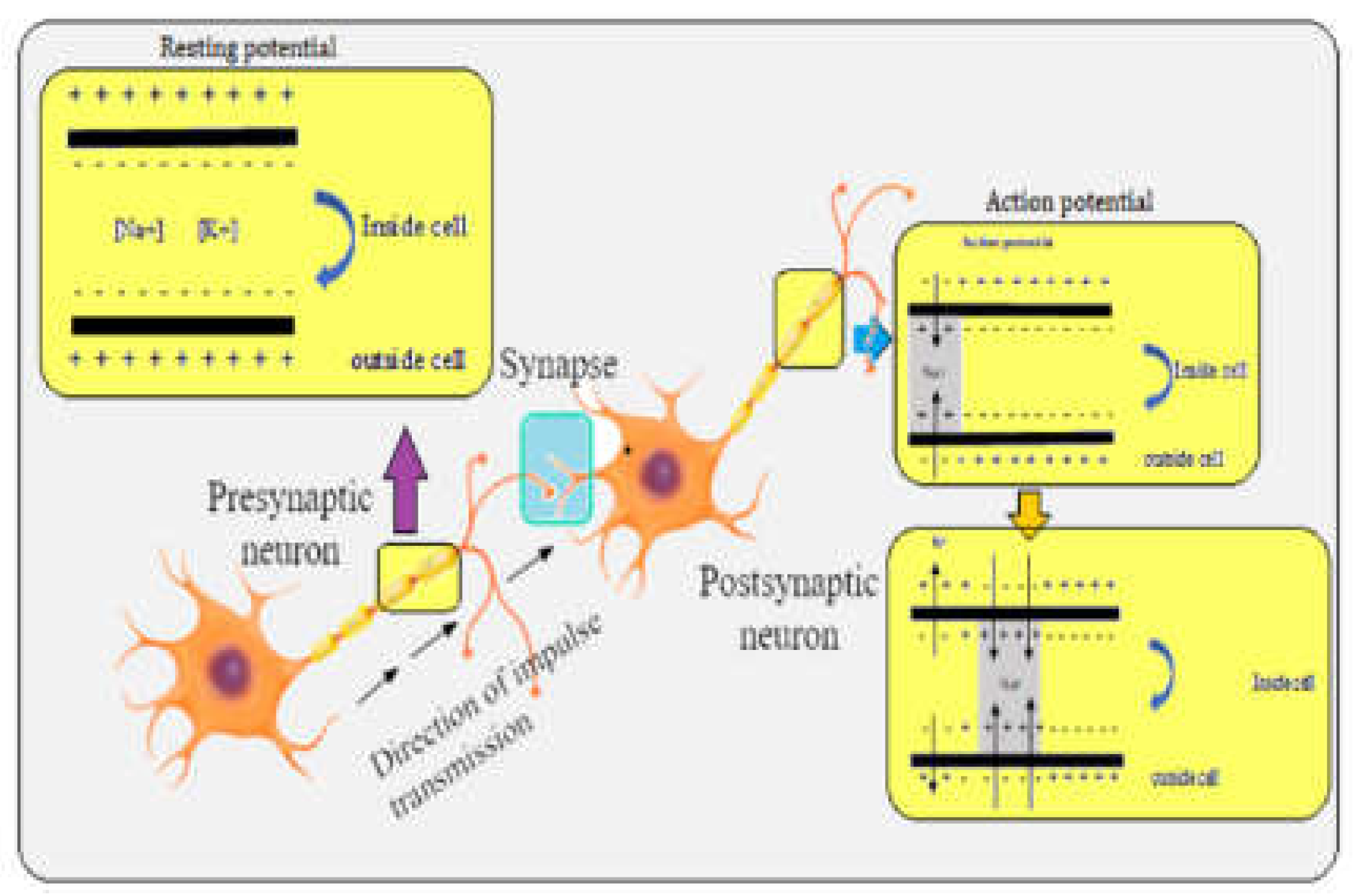 Preprints 115977 g005