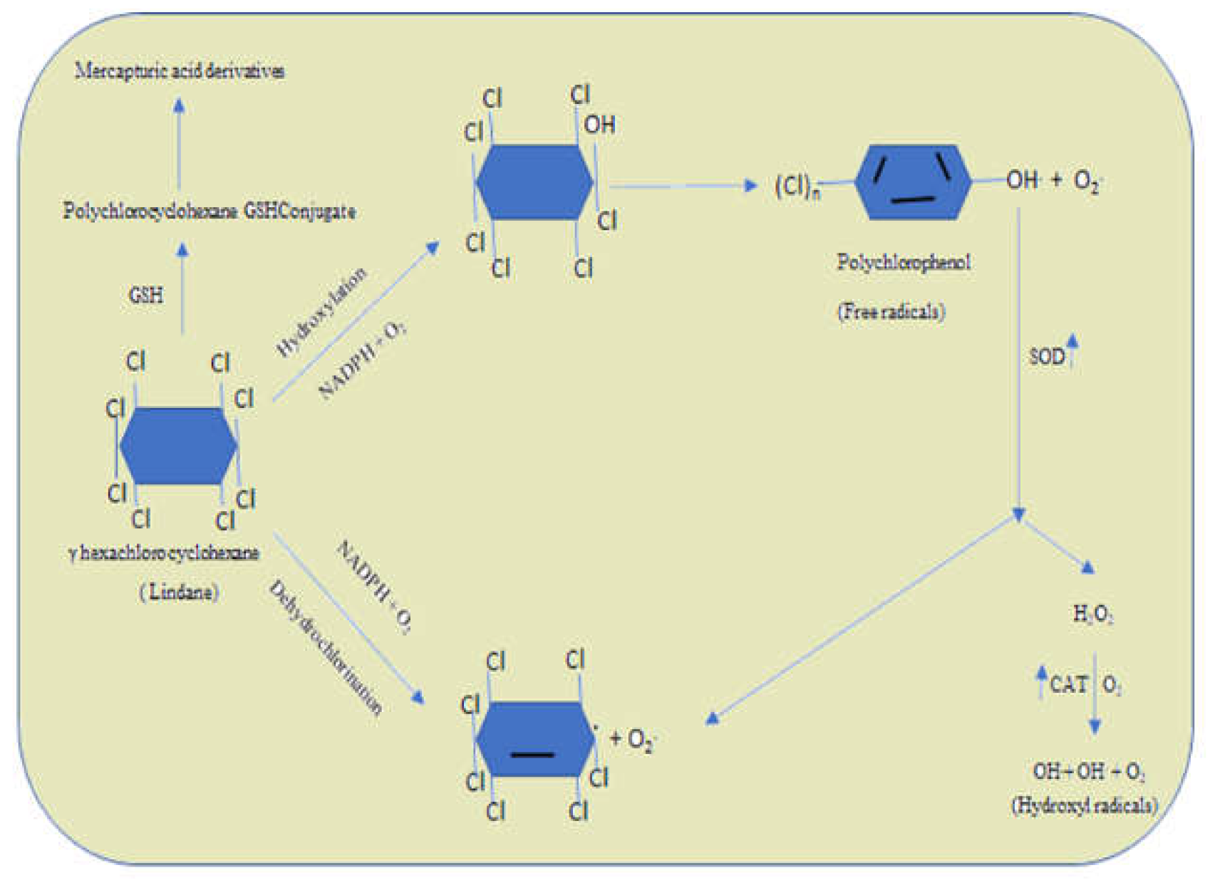 Preprints 115977 g006