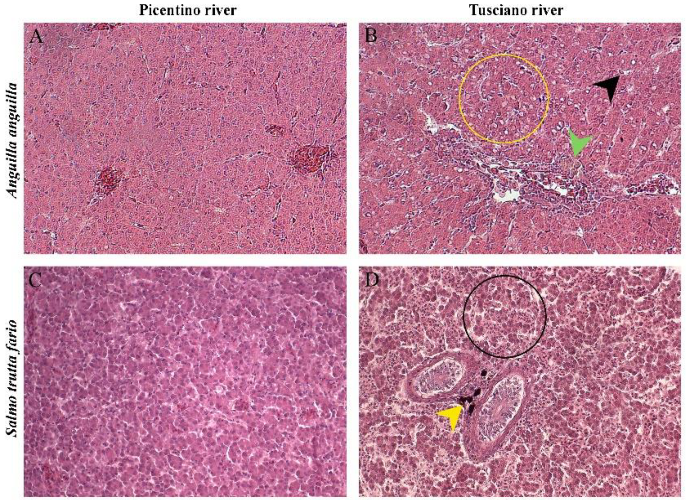 Preprints 89968 g002