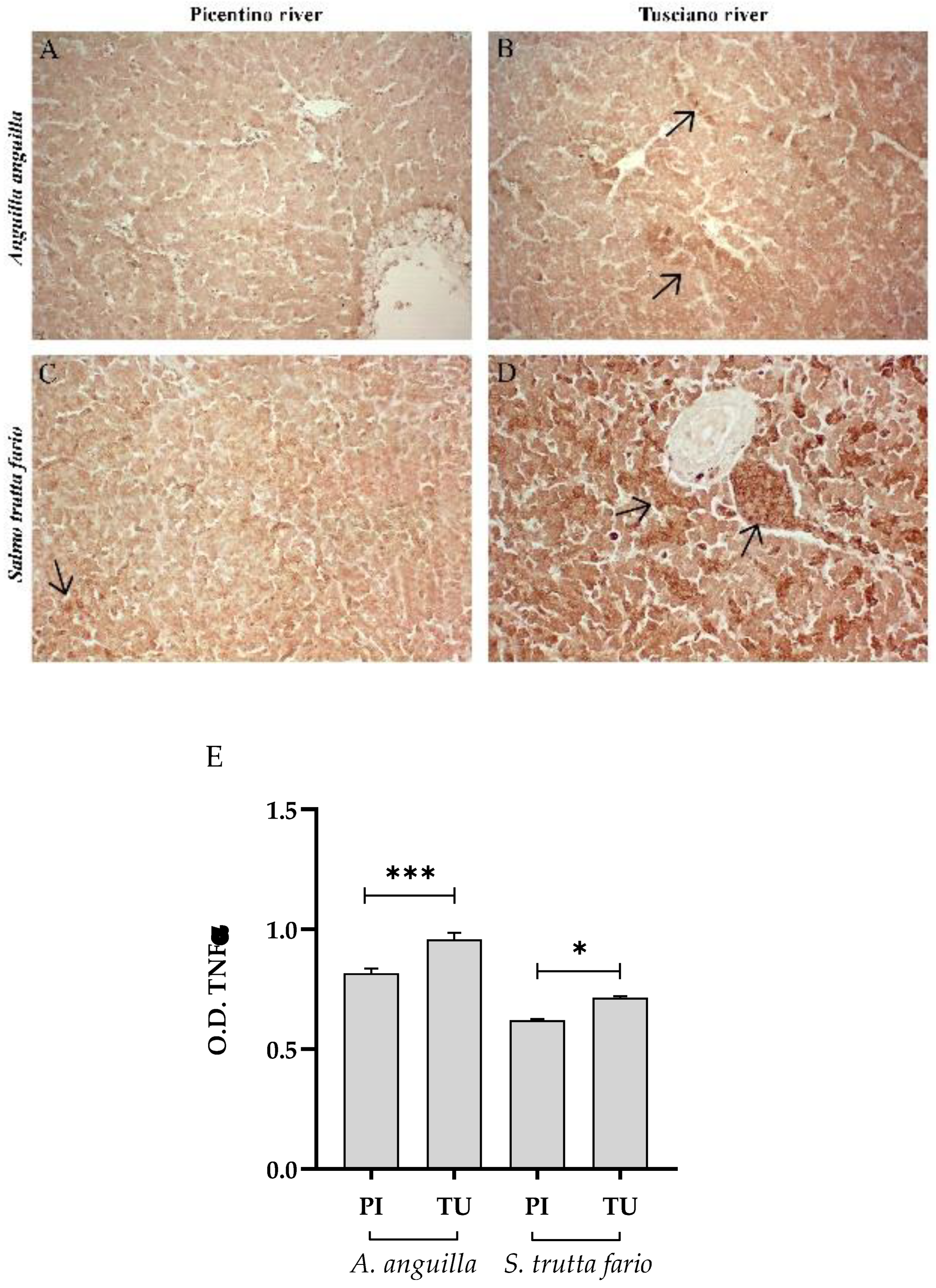 Preprints 89968 g004