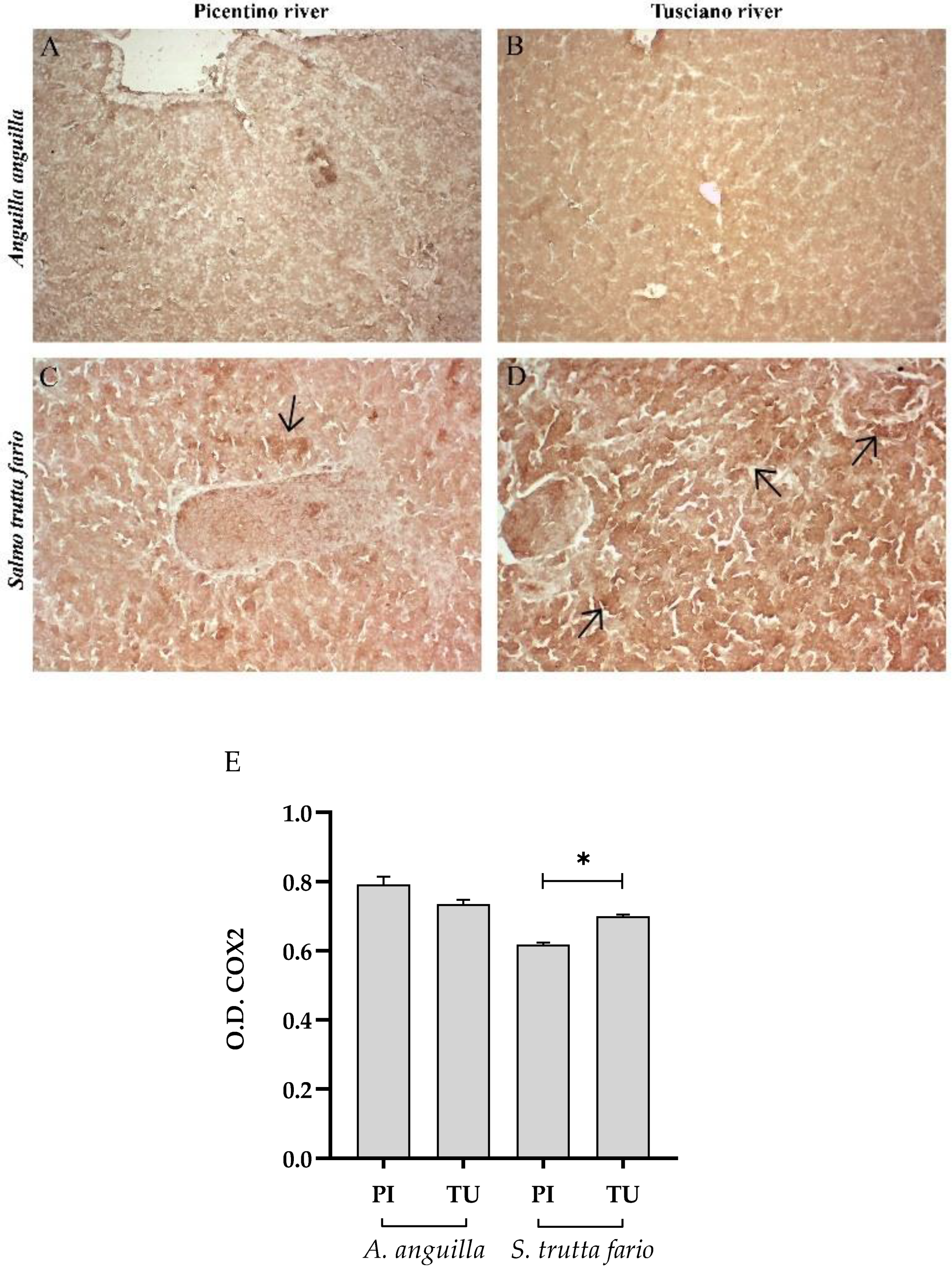 Preprints 89968 g005