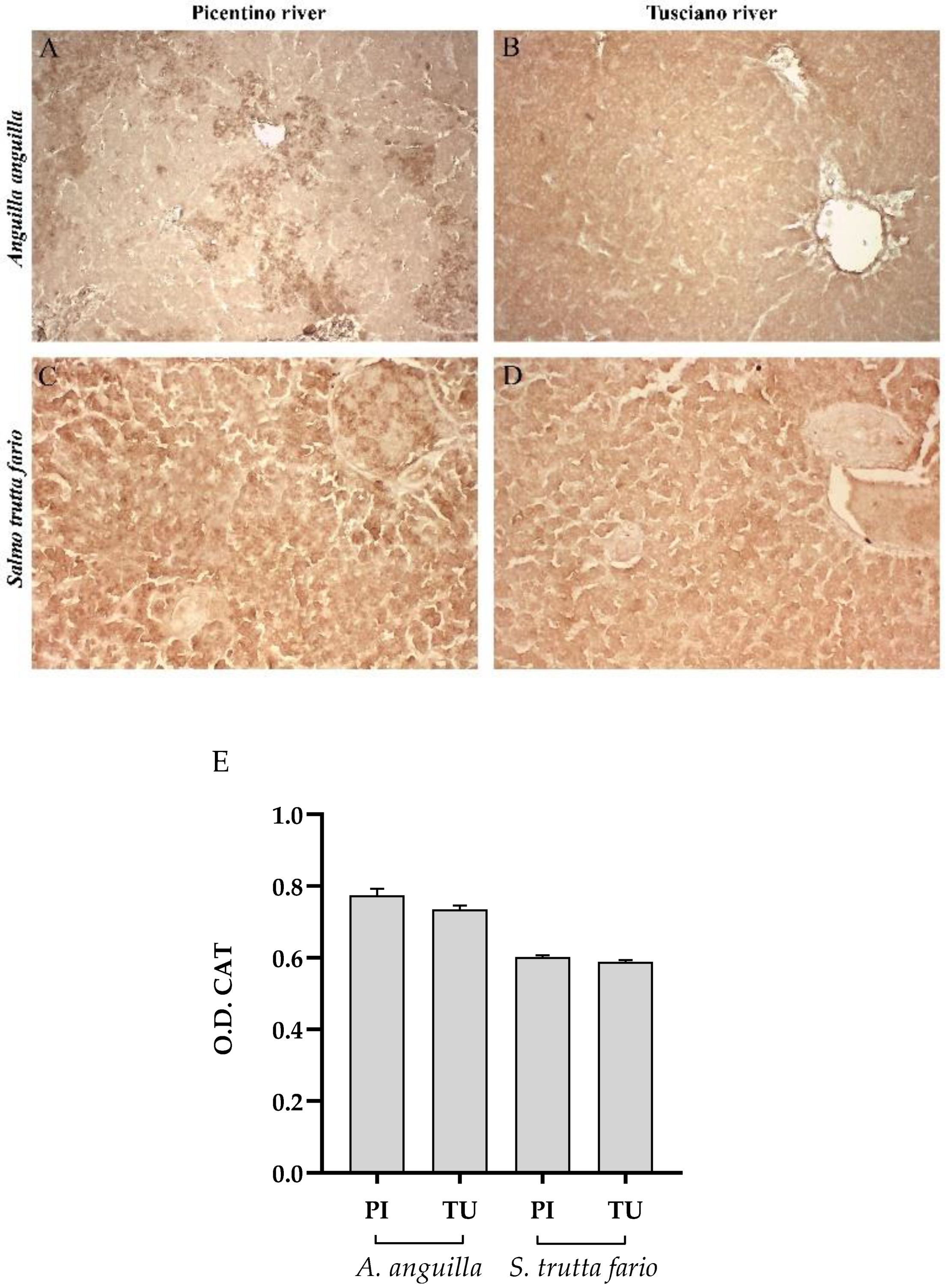 Preprints 89968 g006