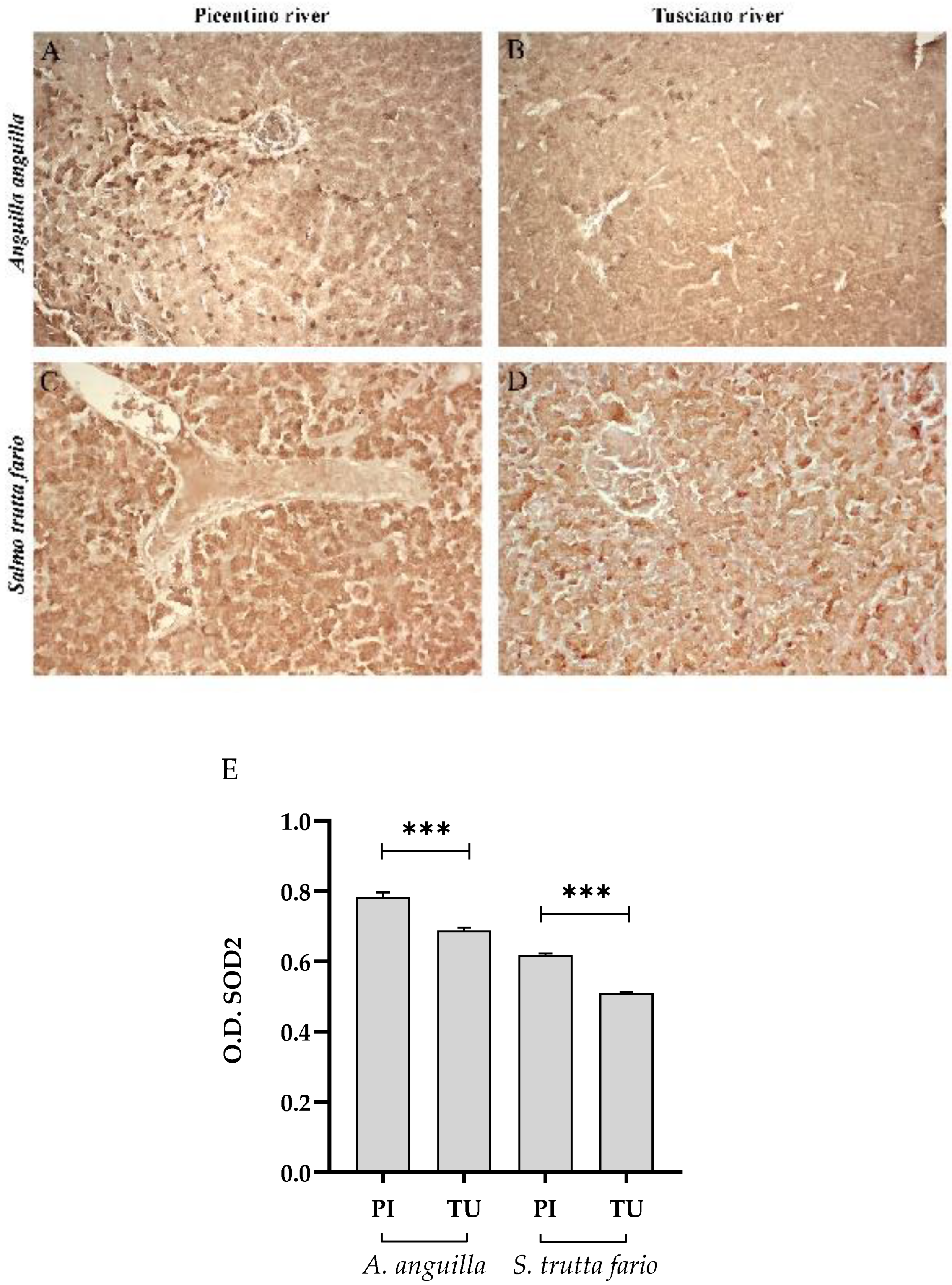 Preprints 89968 g007