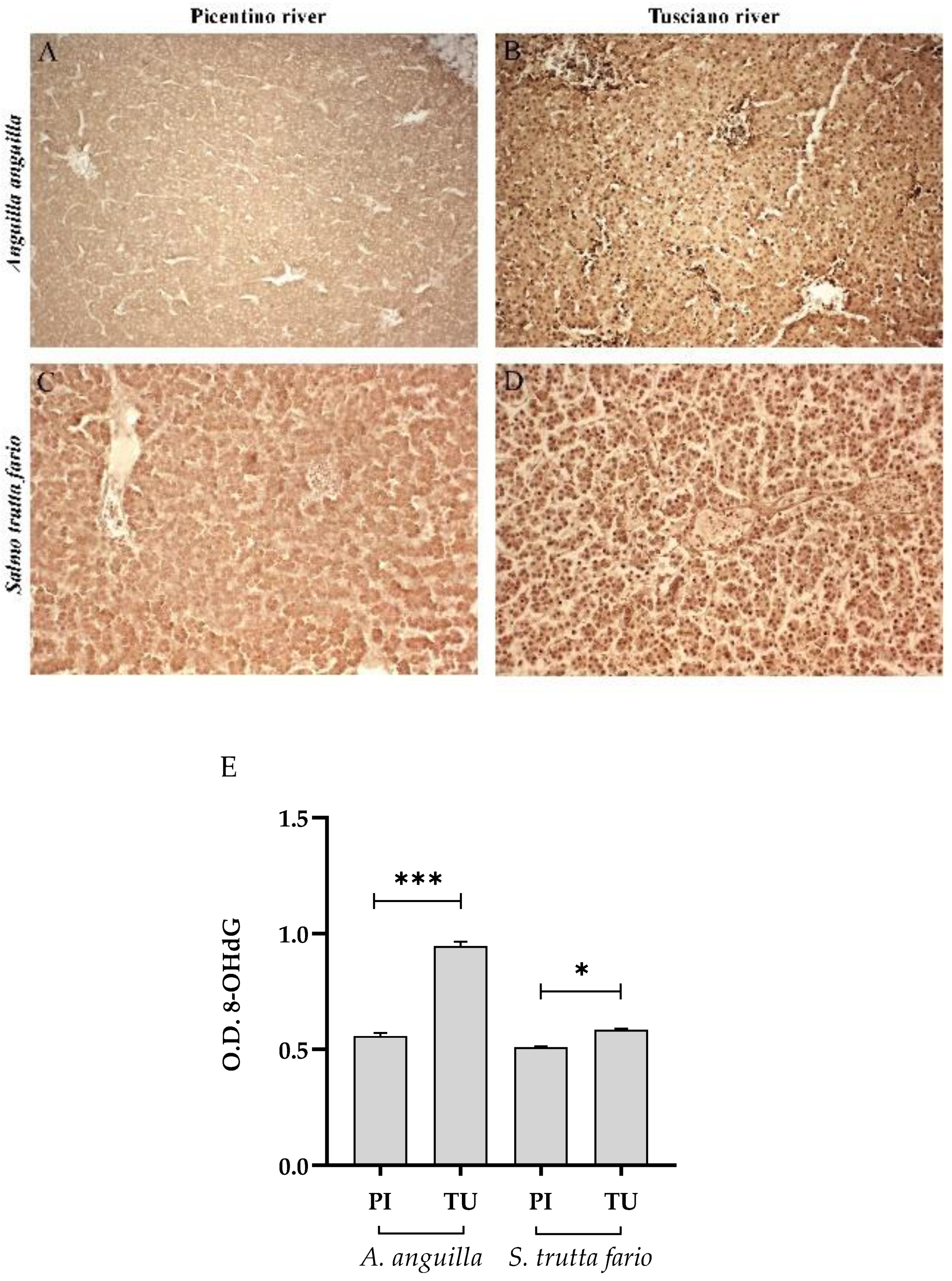 Preprints 89968 g008