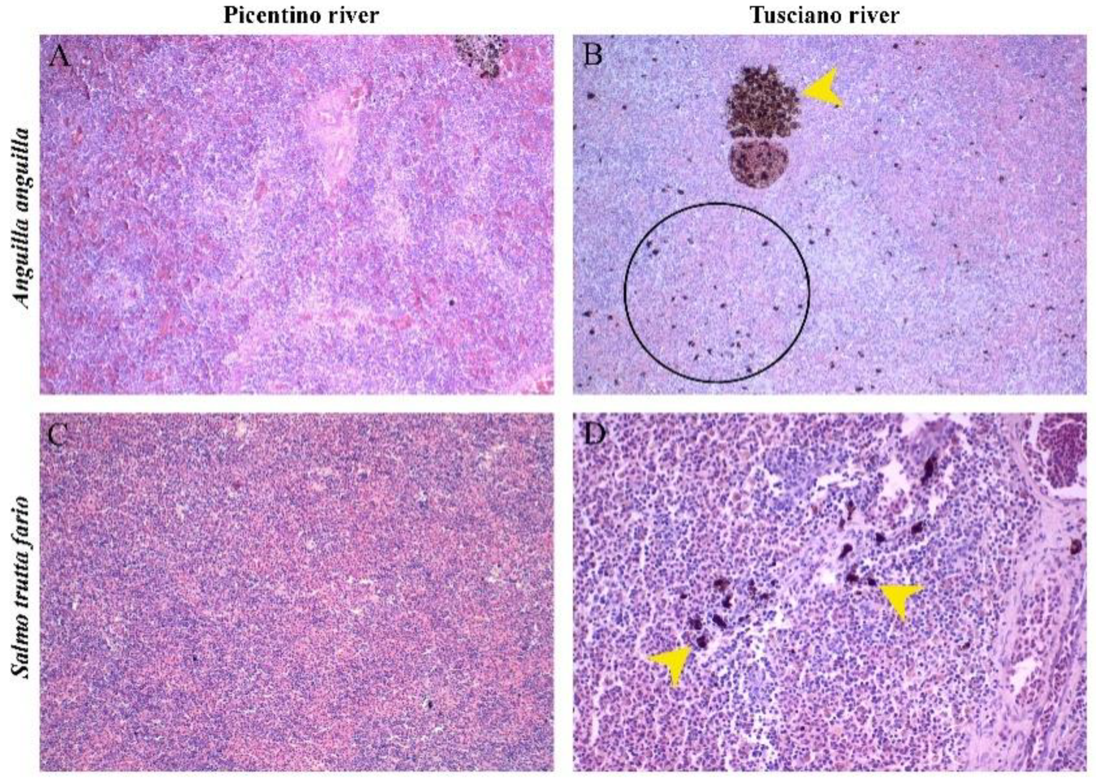 Preprints 89968 g009