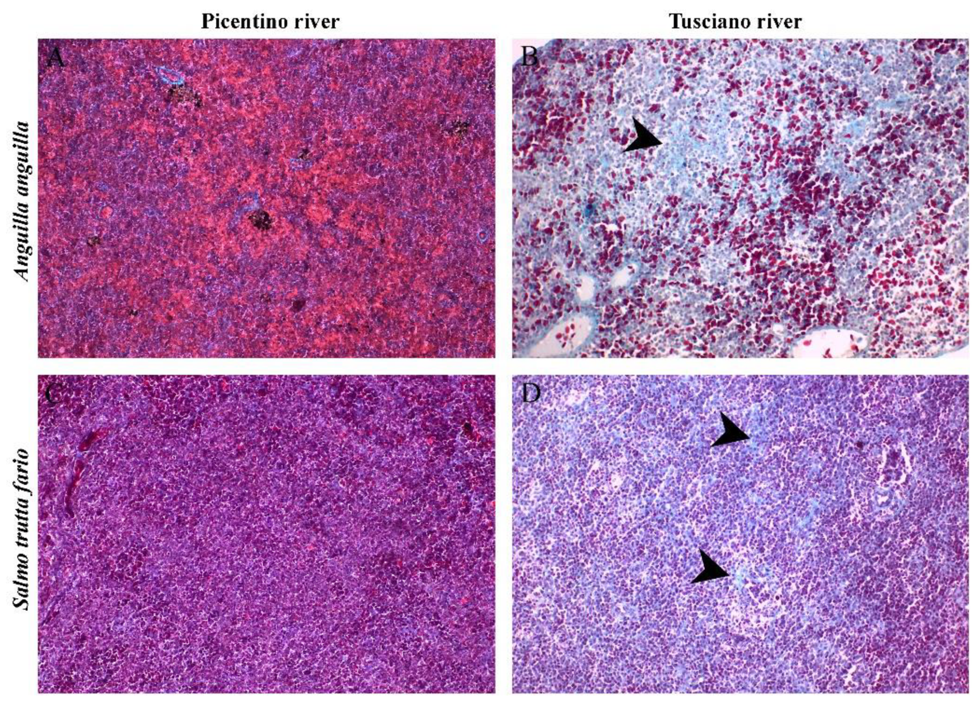 Preprints 89968 g011a