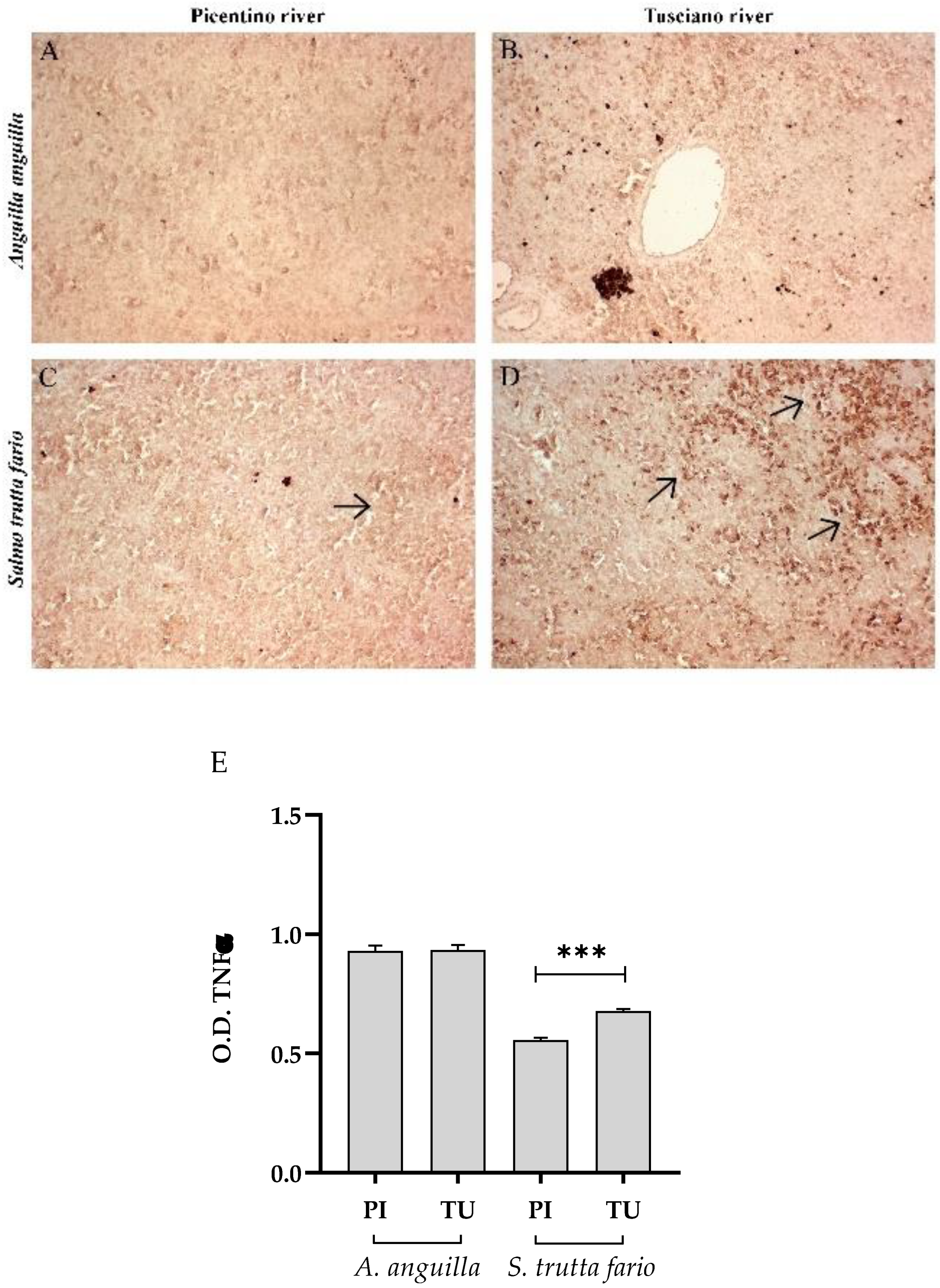 Preprints 89968 g012