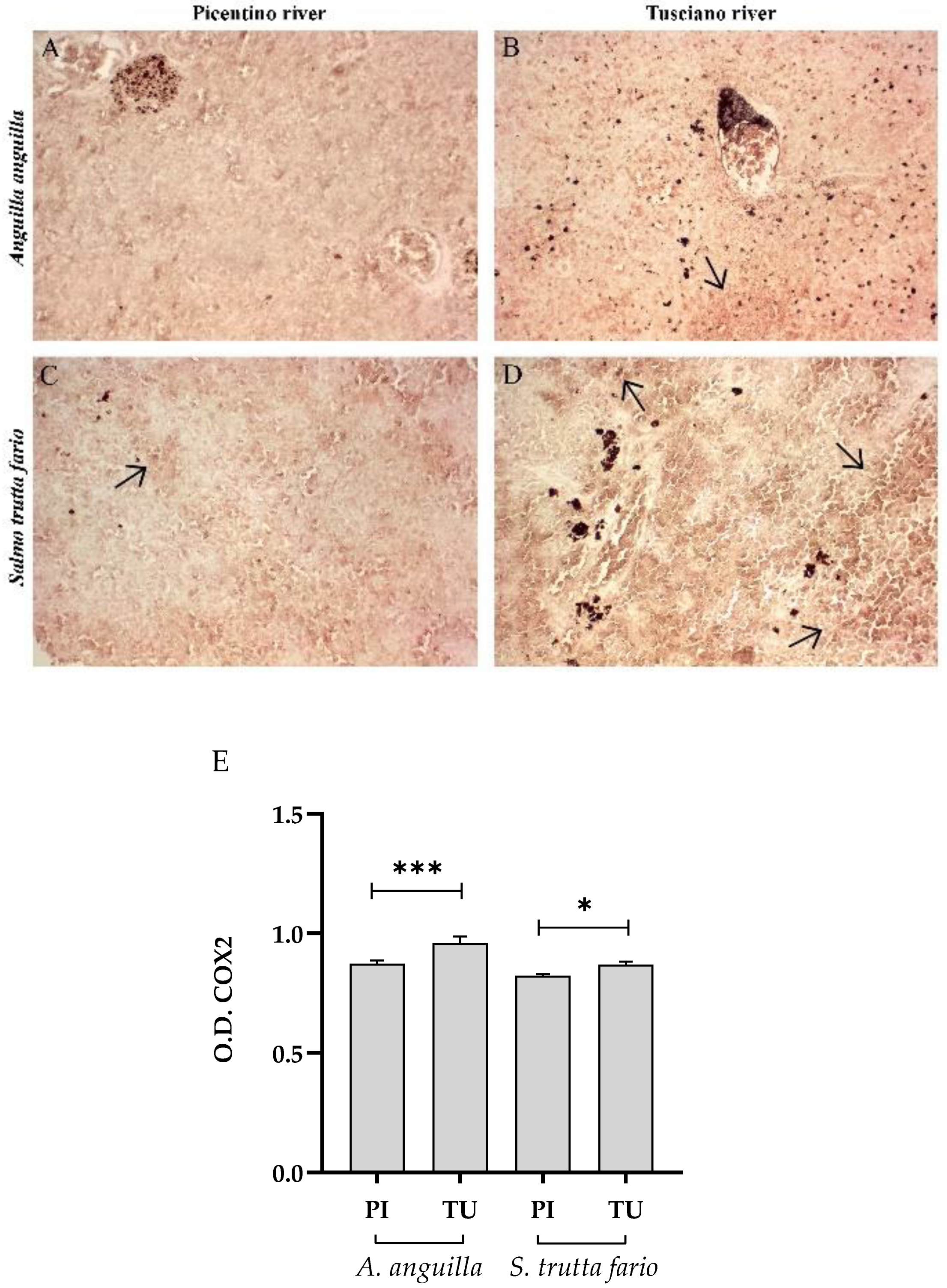 Preprints 89968 g013