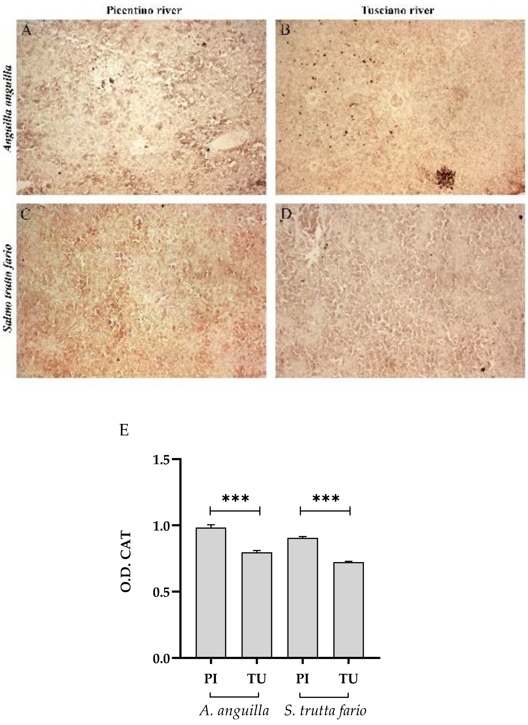 Preprints 89968 g014