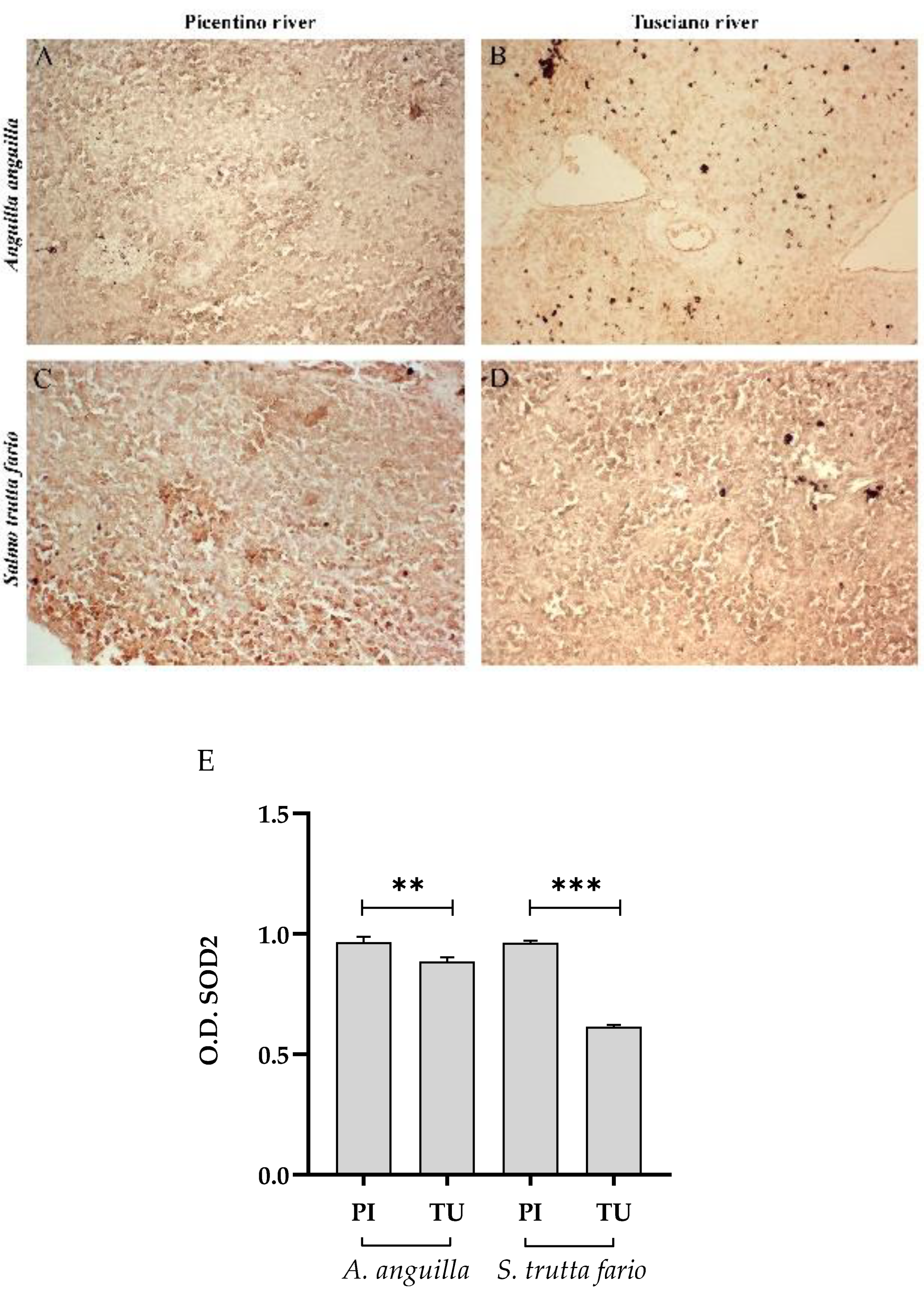 Preprints 89968 g015