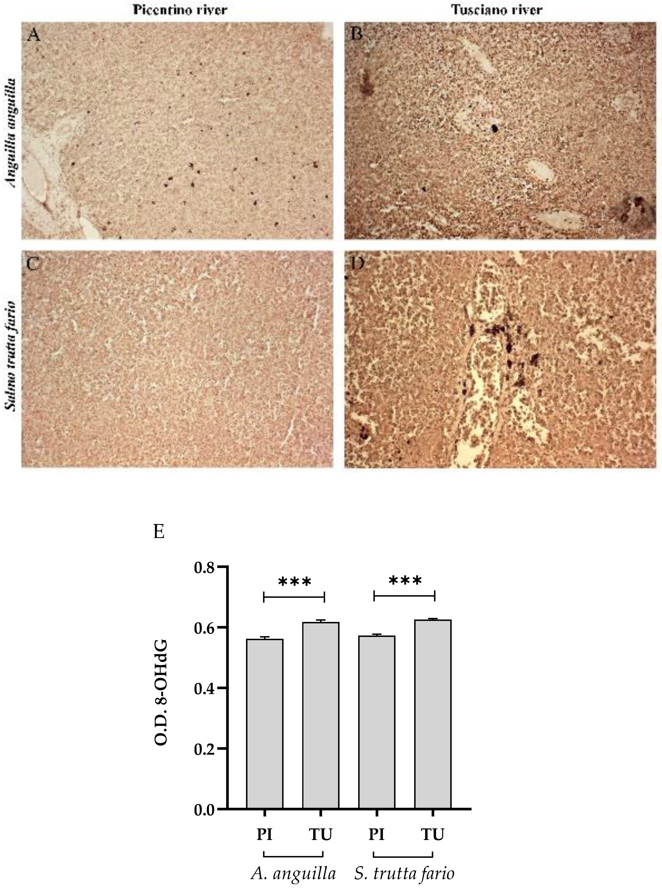 Preprints 89968 g016