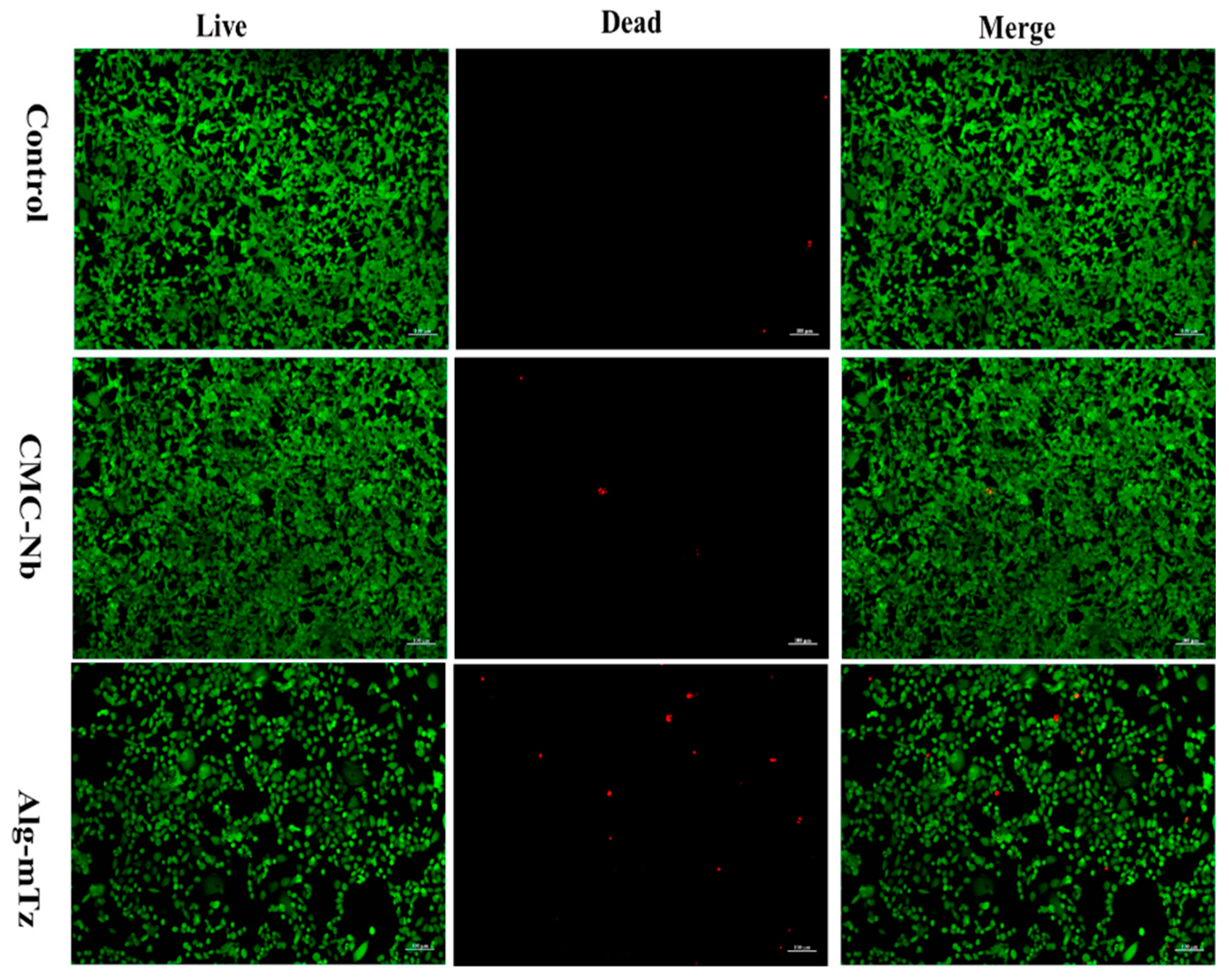 Preprints 91146 g008