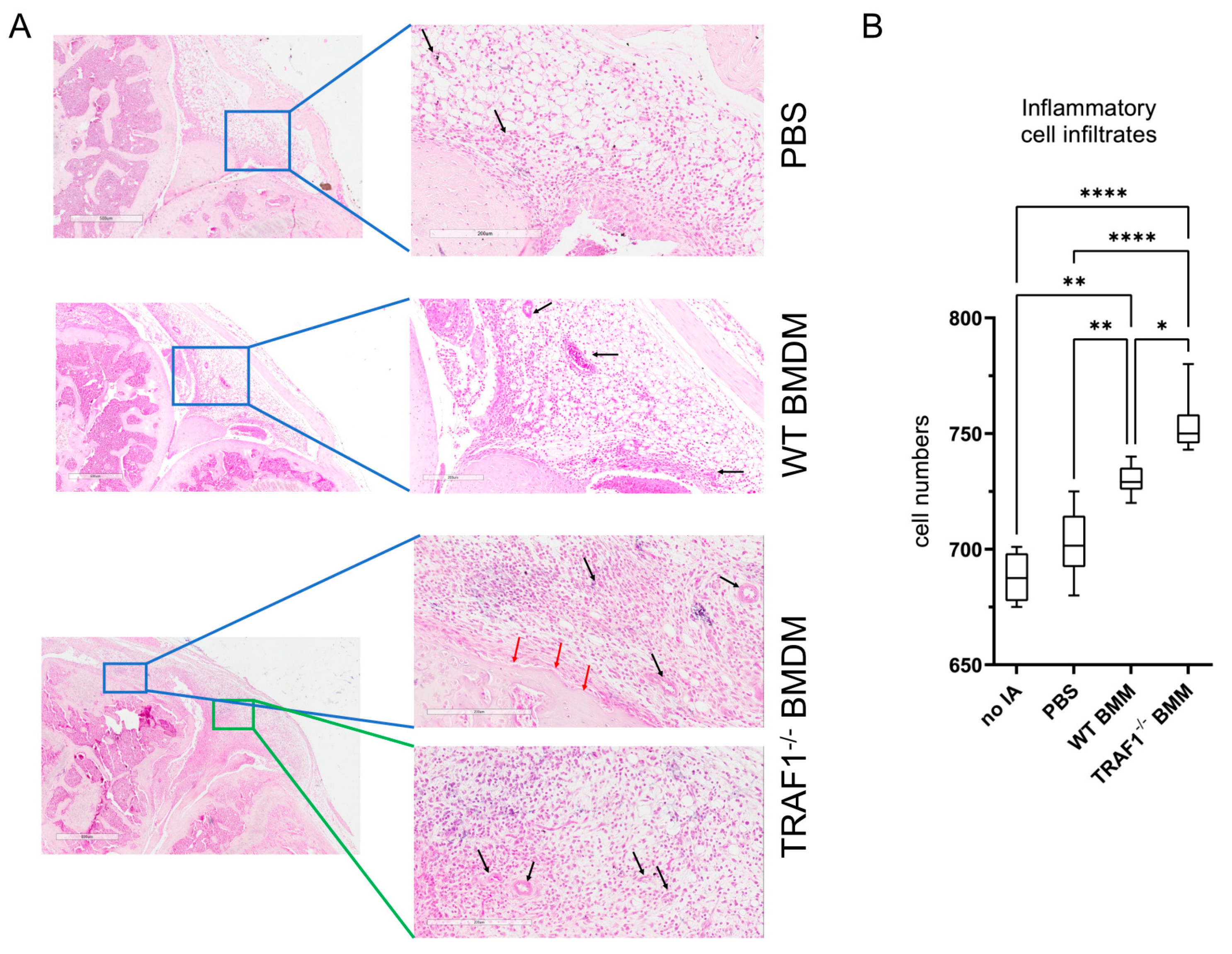 Preprints 105399 g003