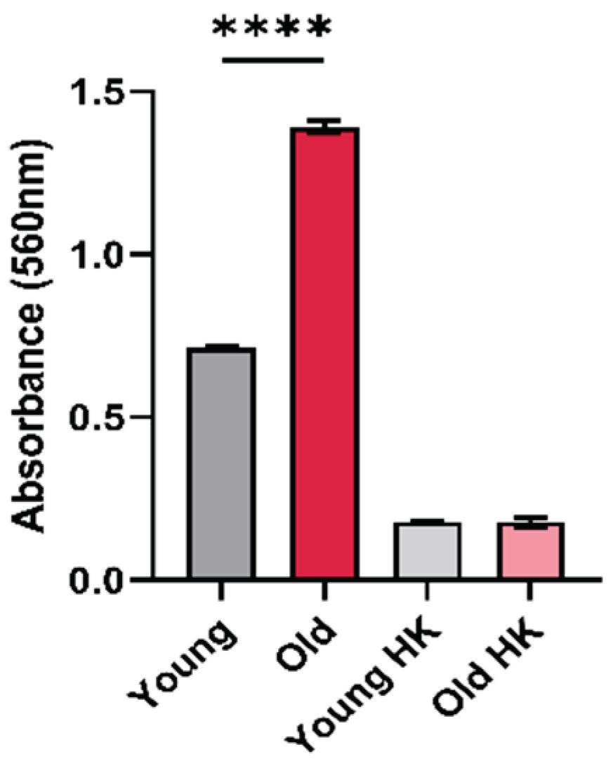 Preprints 100642 g001