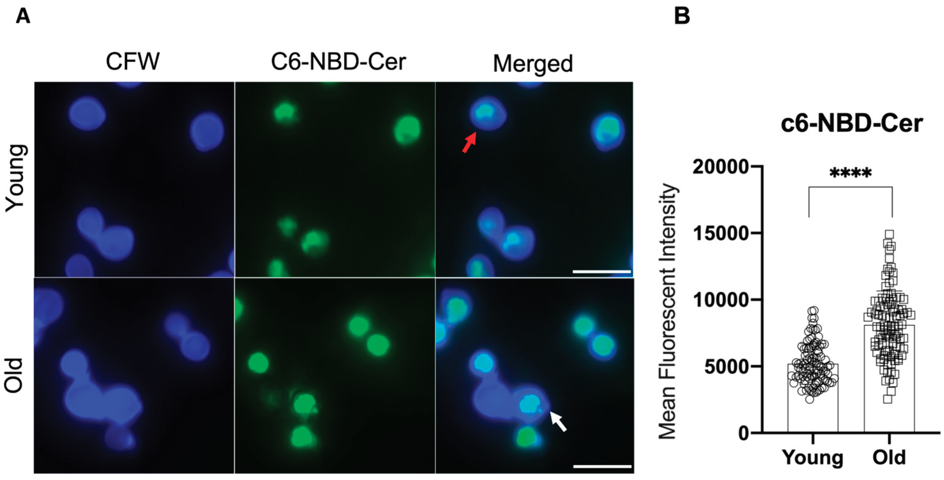 Preprints 100642 g002