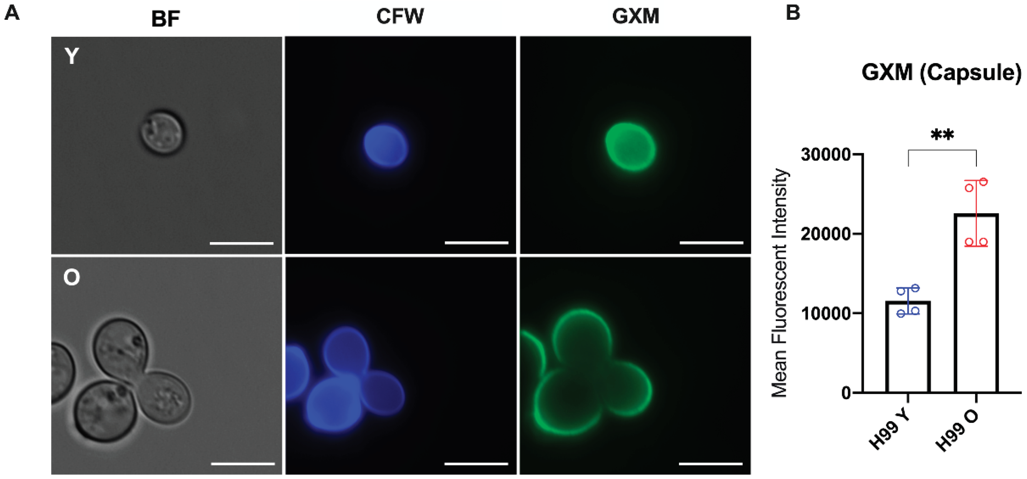 Preprints 100642 g003