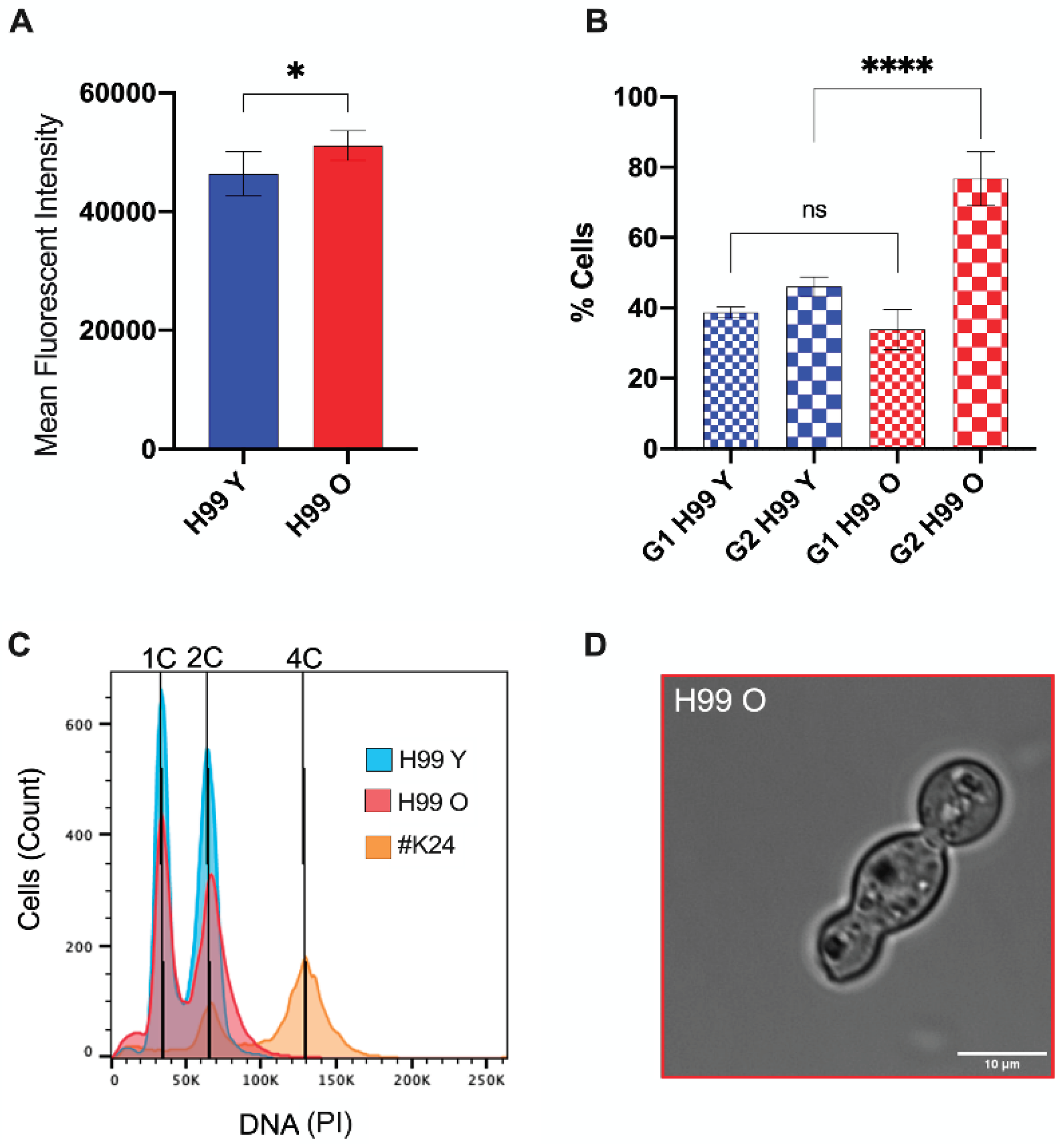 Preprints 100642 g004