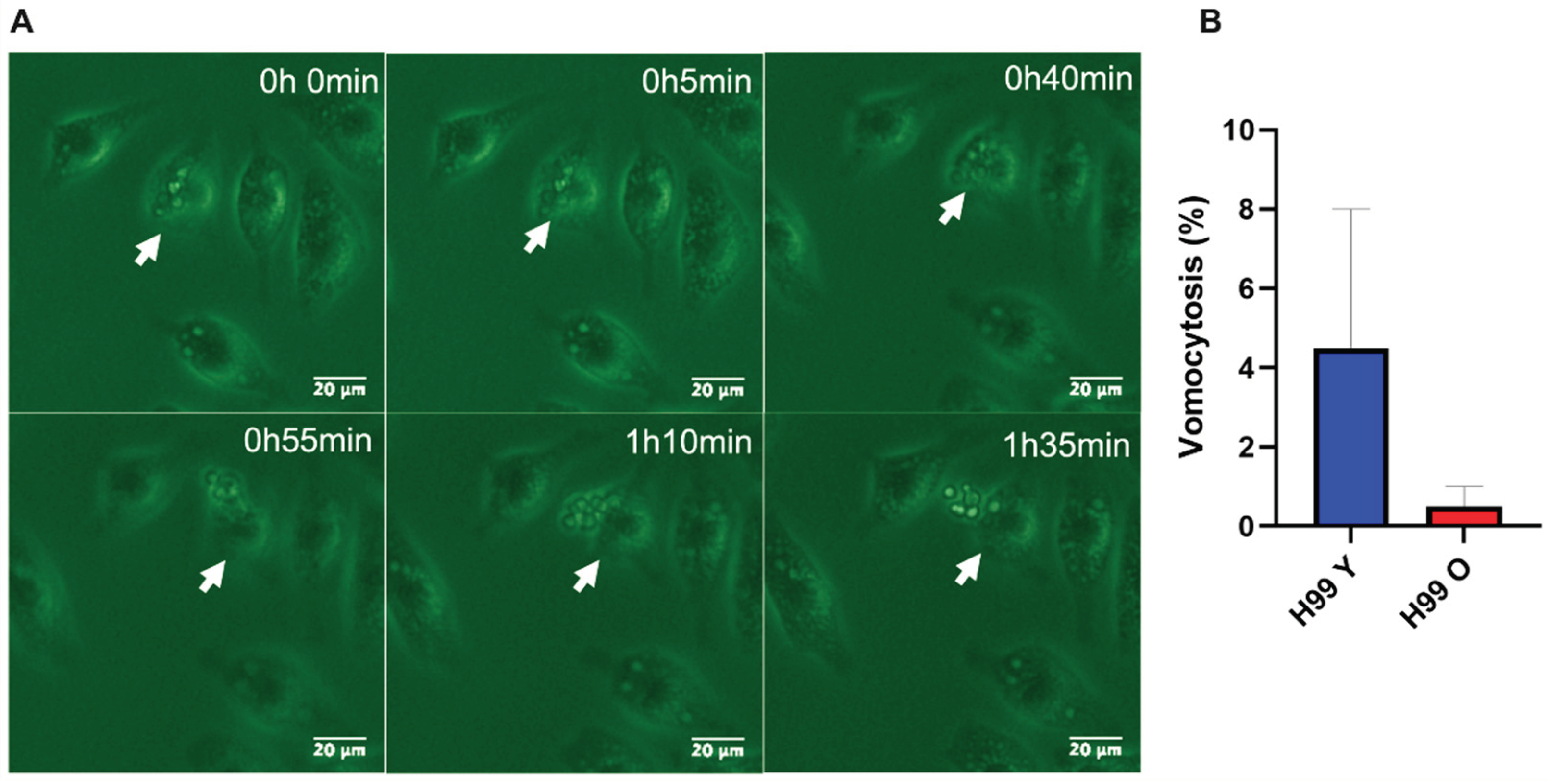 Preprints 100642 g005