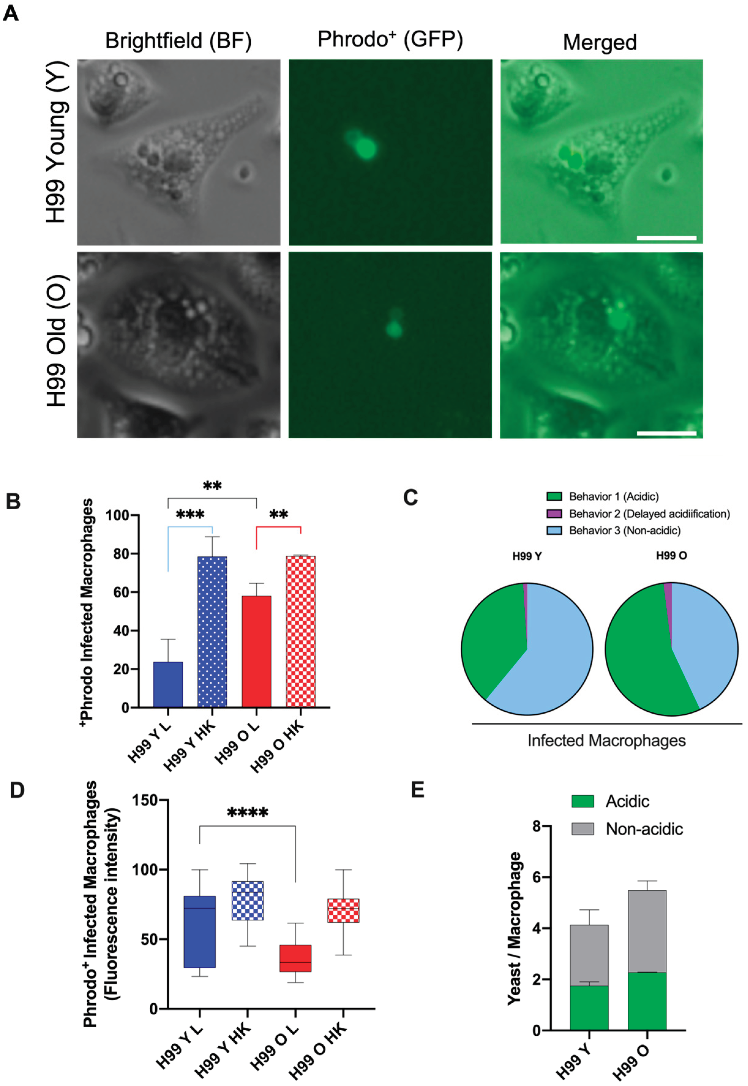 Preprints 100642 g006