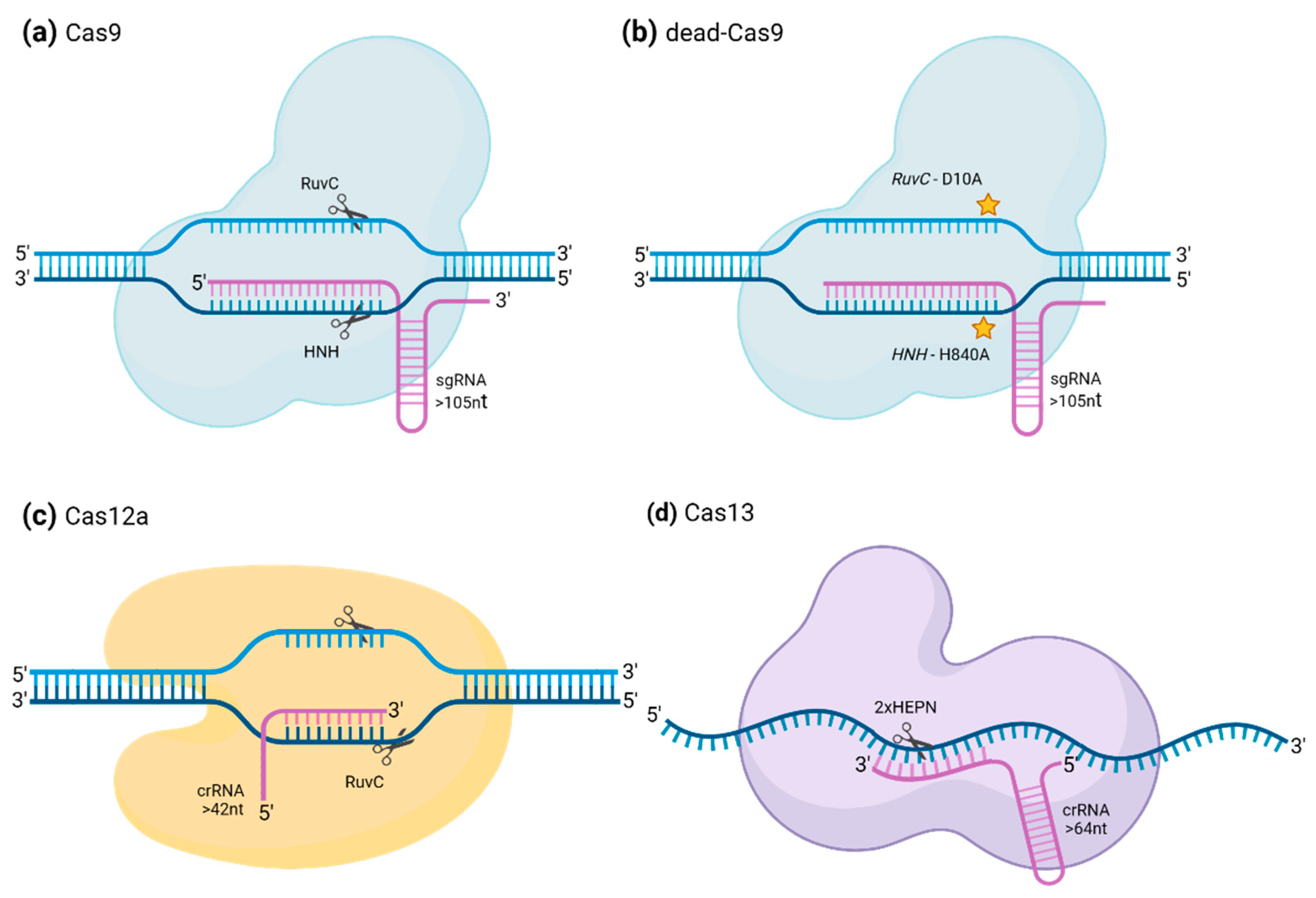 Preprints 97204 g001