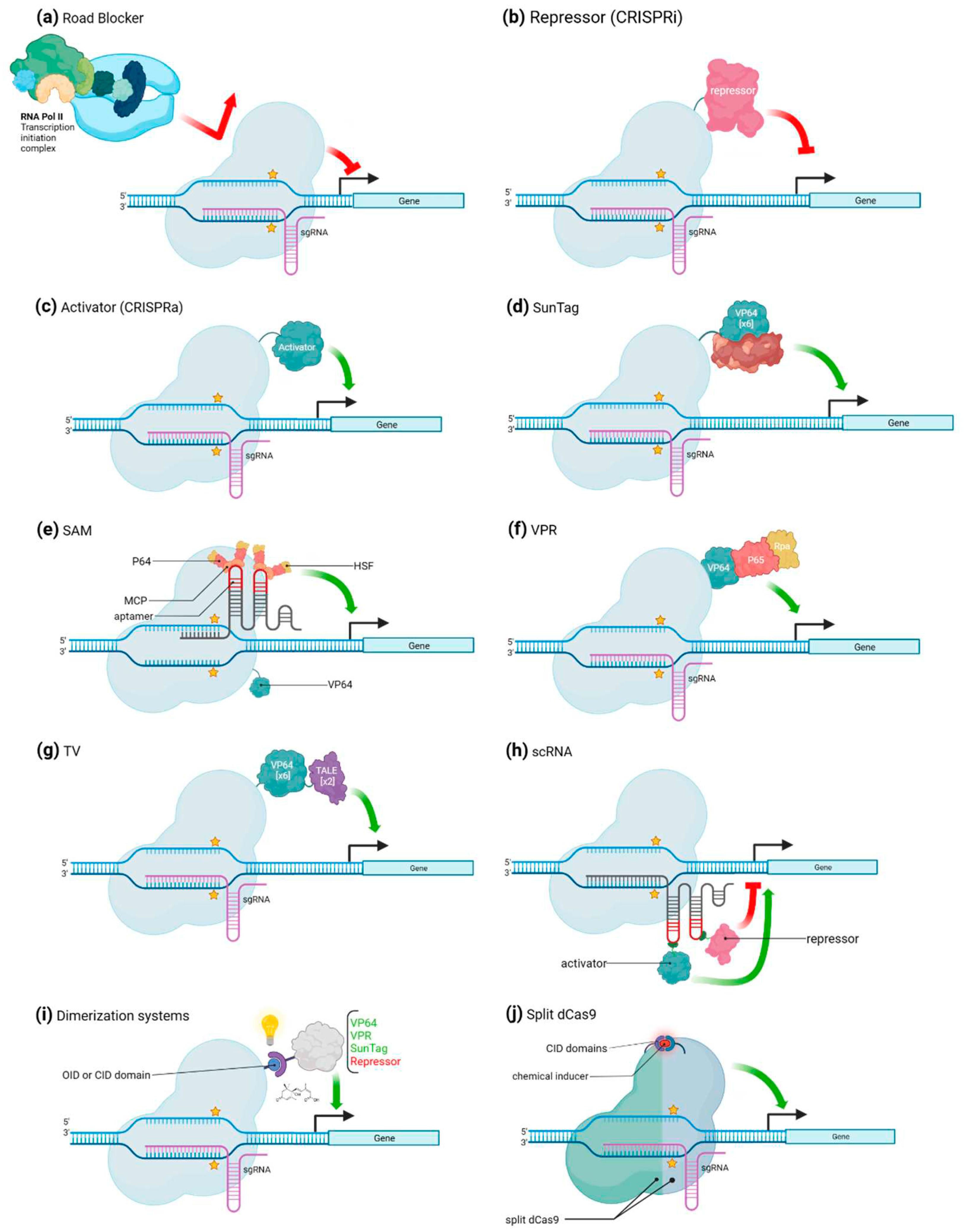 Preprints 97204 g002