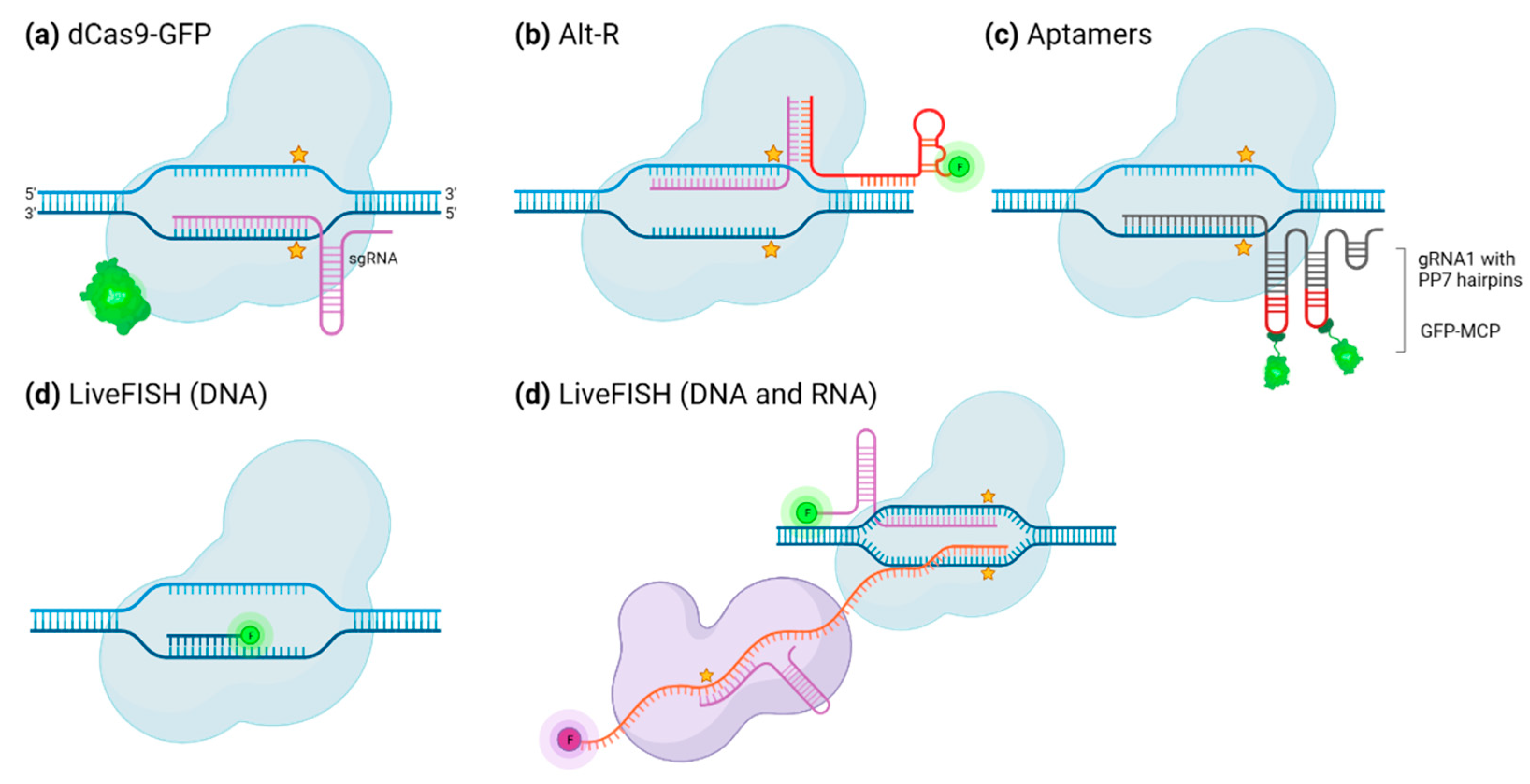 Preprints 97204 g003