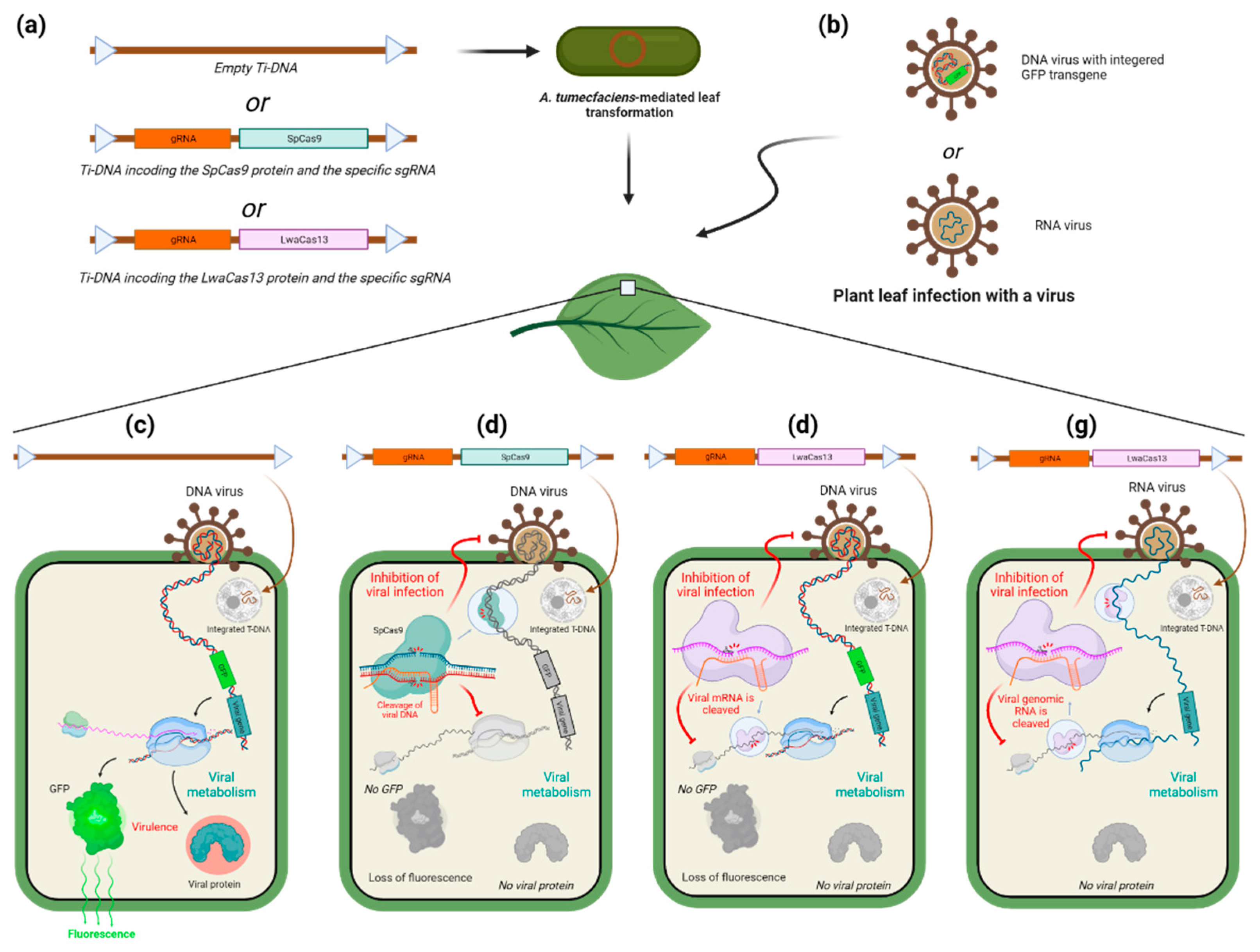 Preprints 97204 g004