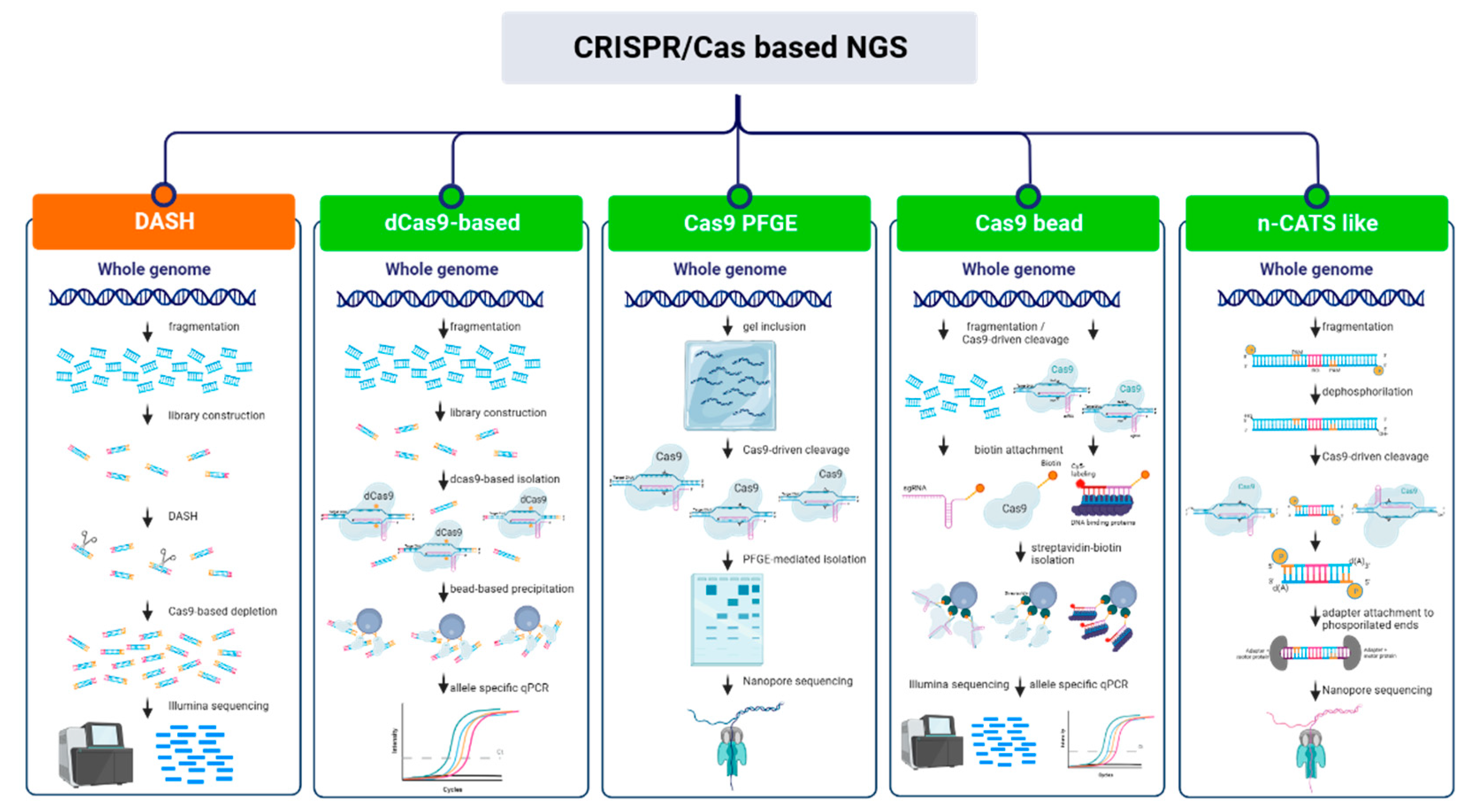 Preprints 97204 g005