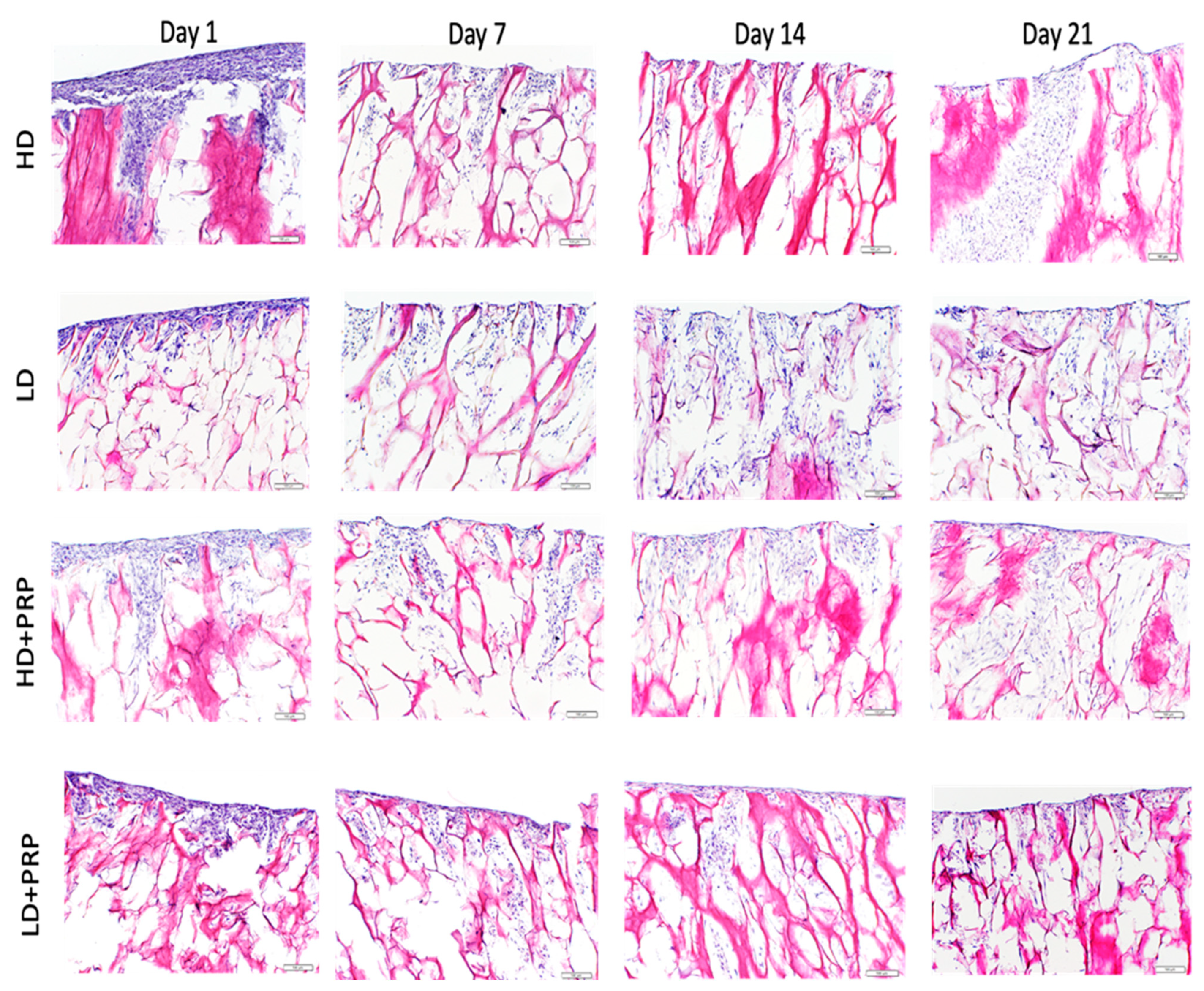 Preprints 87381 g004