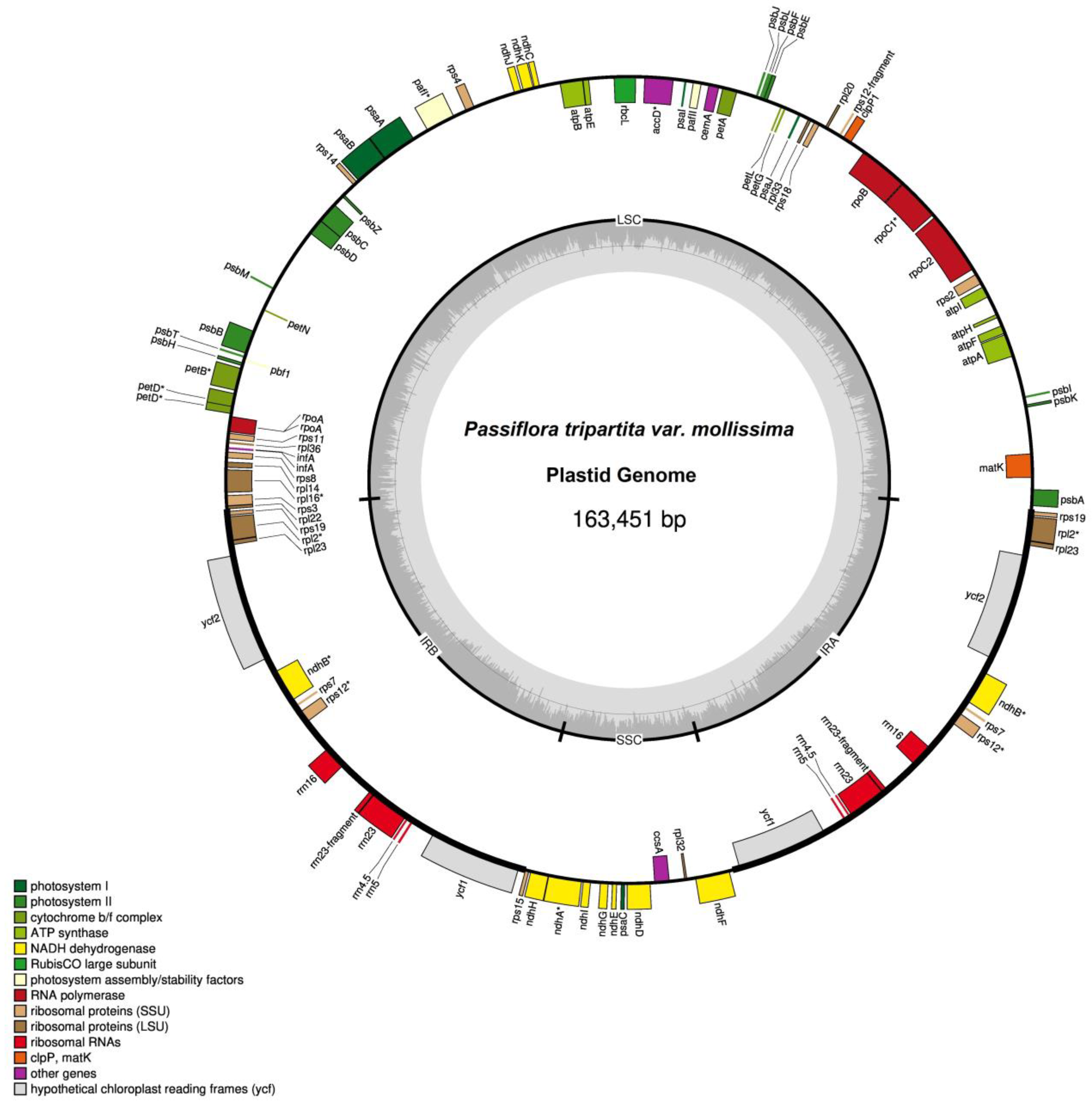 Preprints 75550 g001