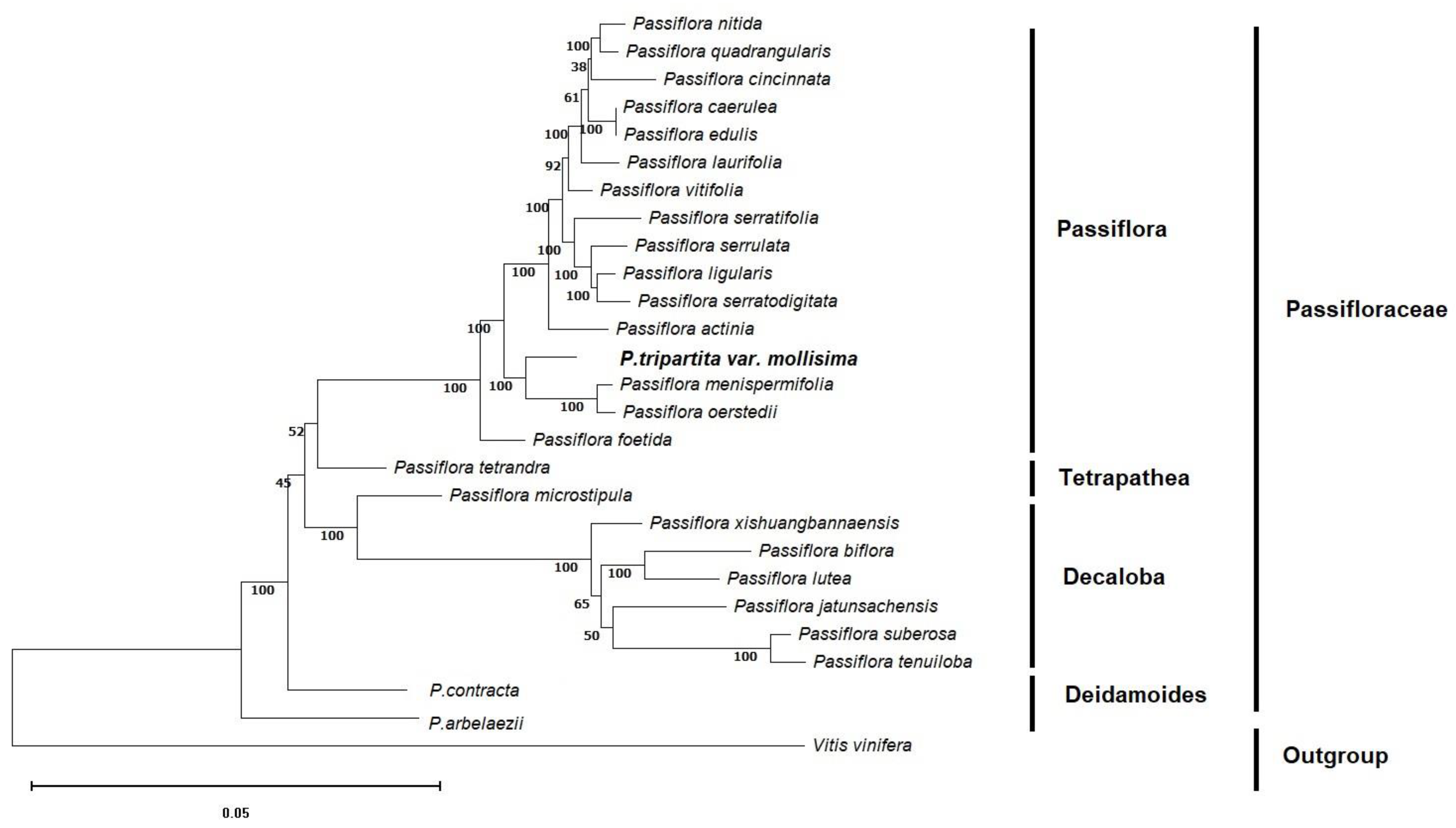 Preprints 75550 g002