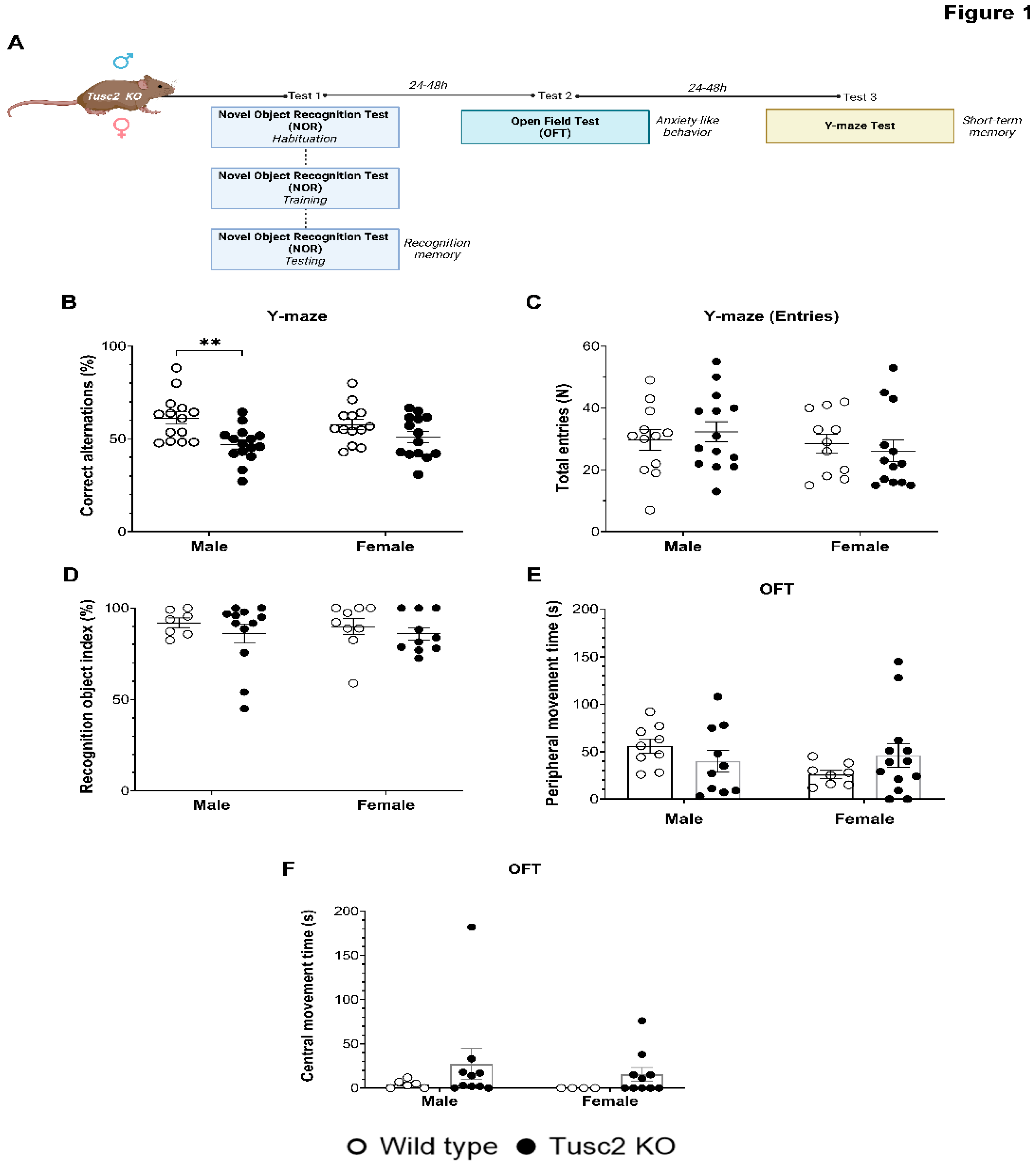 Preprints 105579 g001