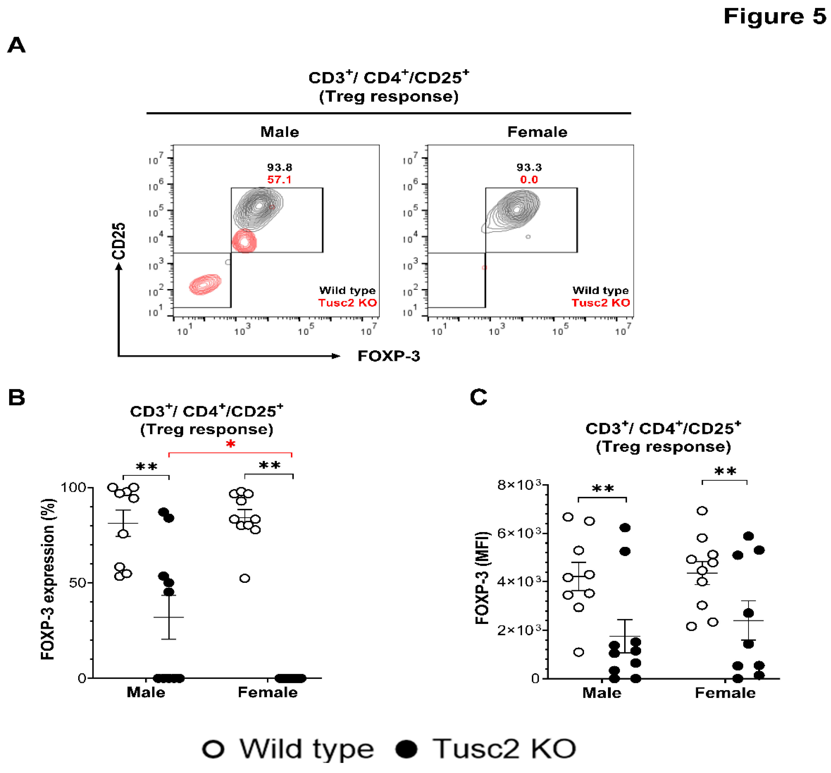 Preprints 105579 g005