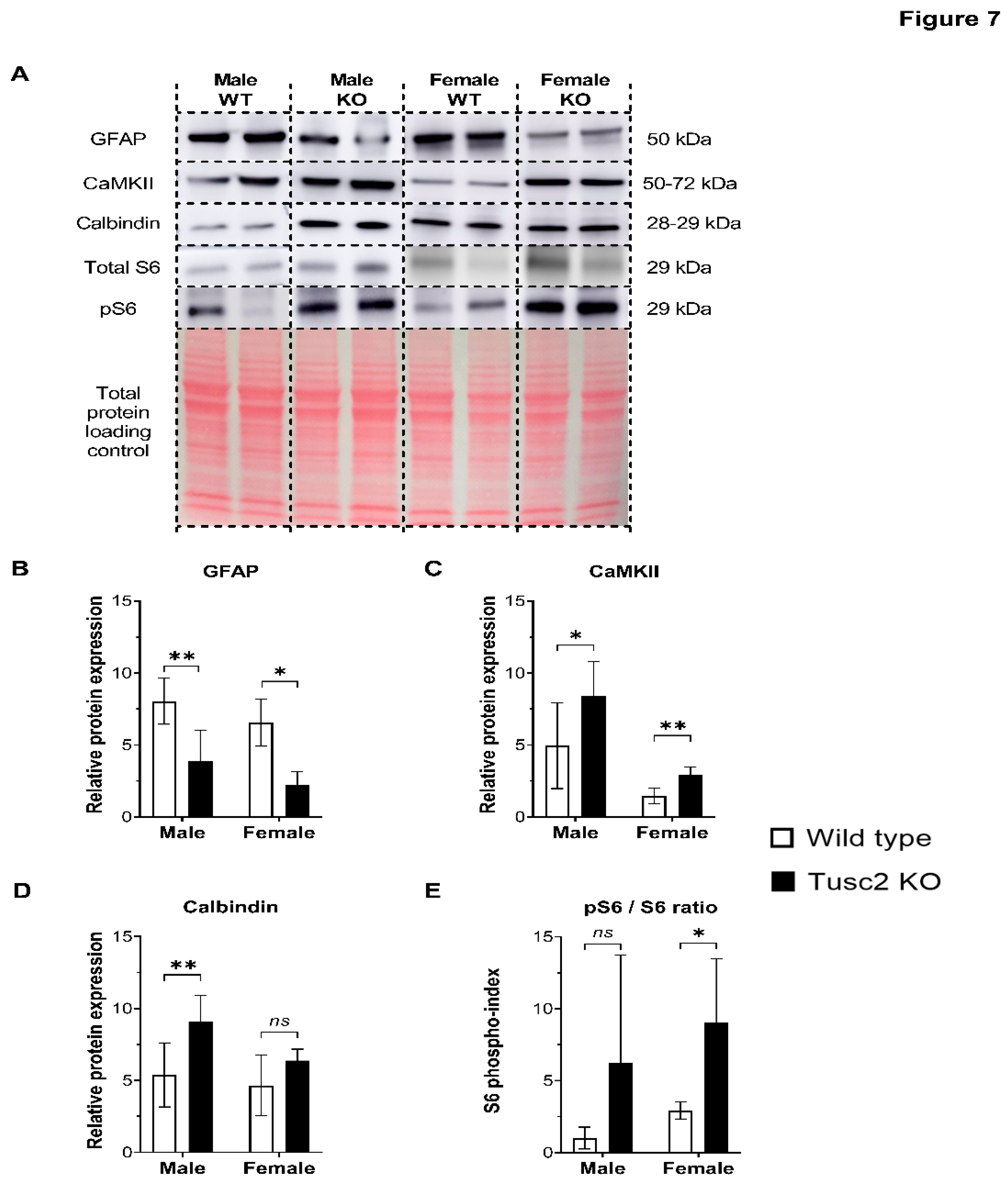 Preprints 105579 g007