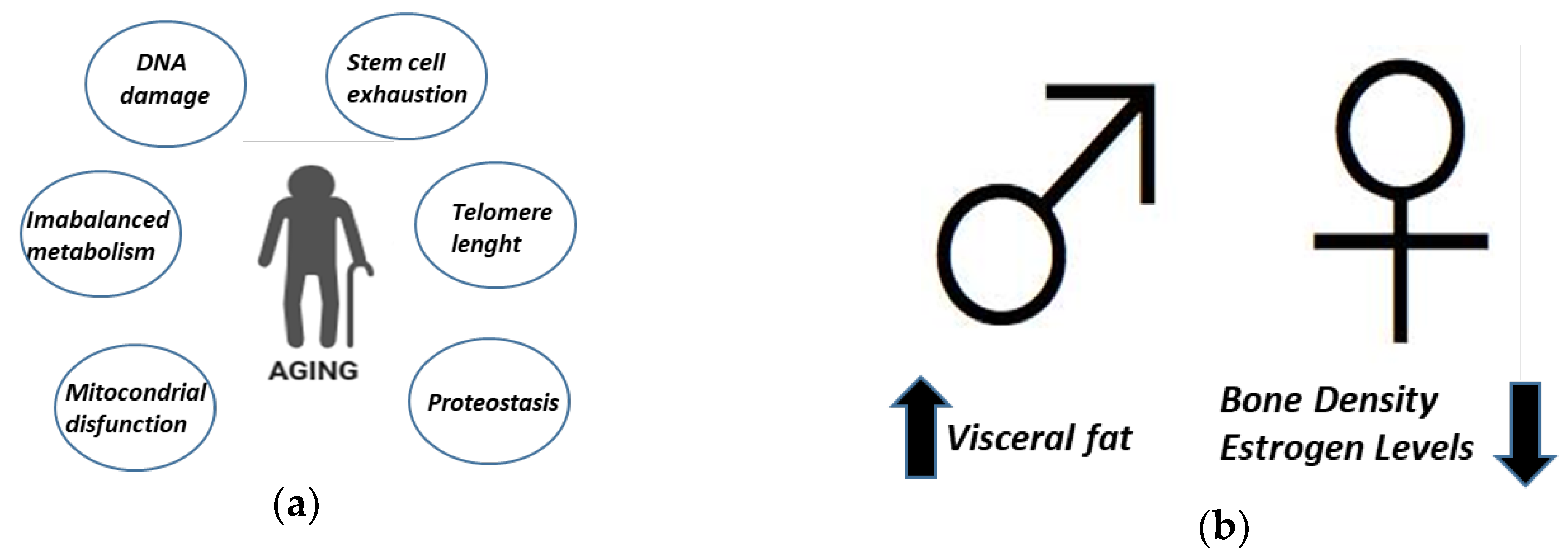 Preprints 103023 g001